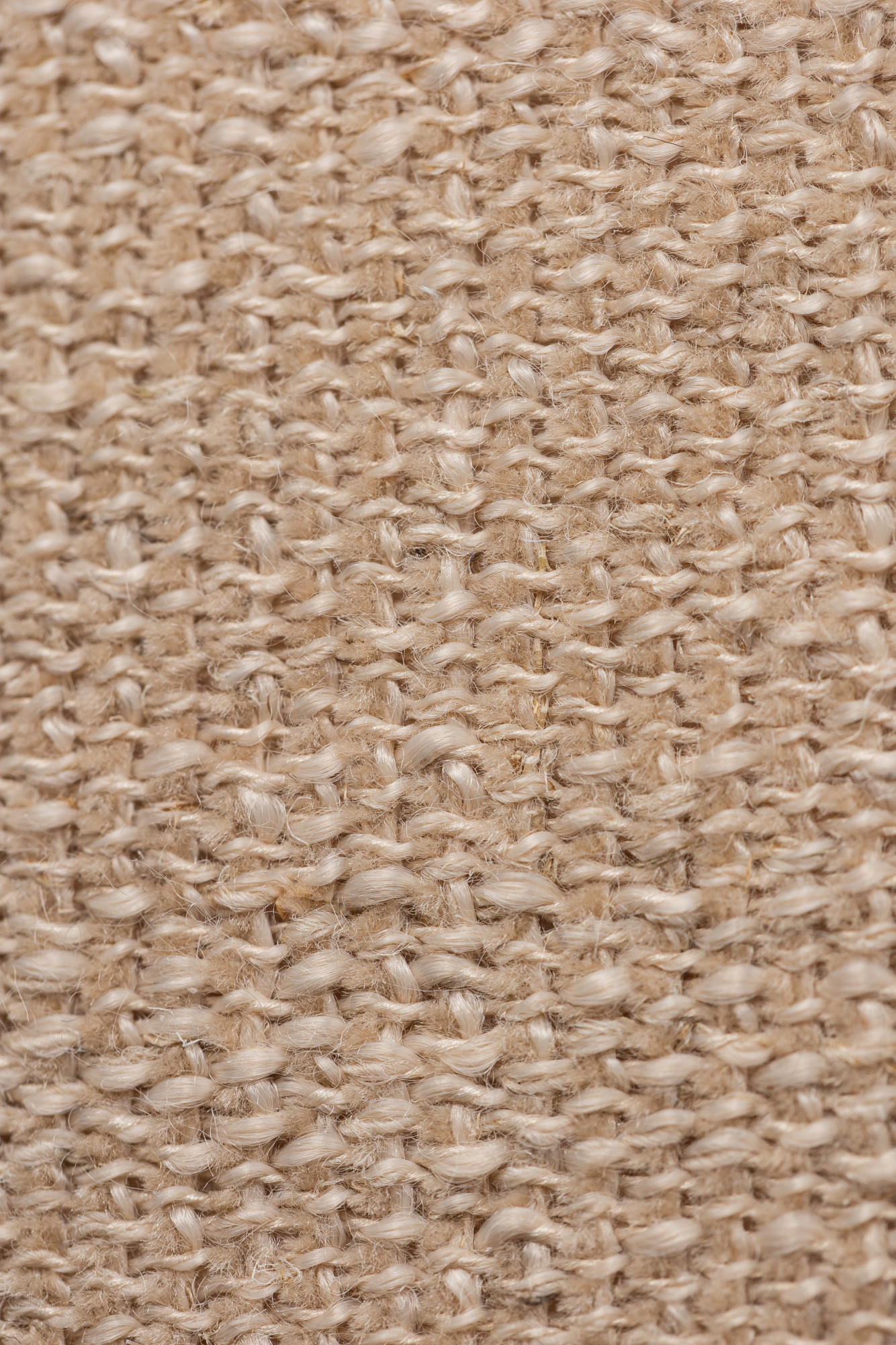 8710-02 Byzantina - Cream Courser Hero Image