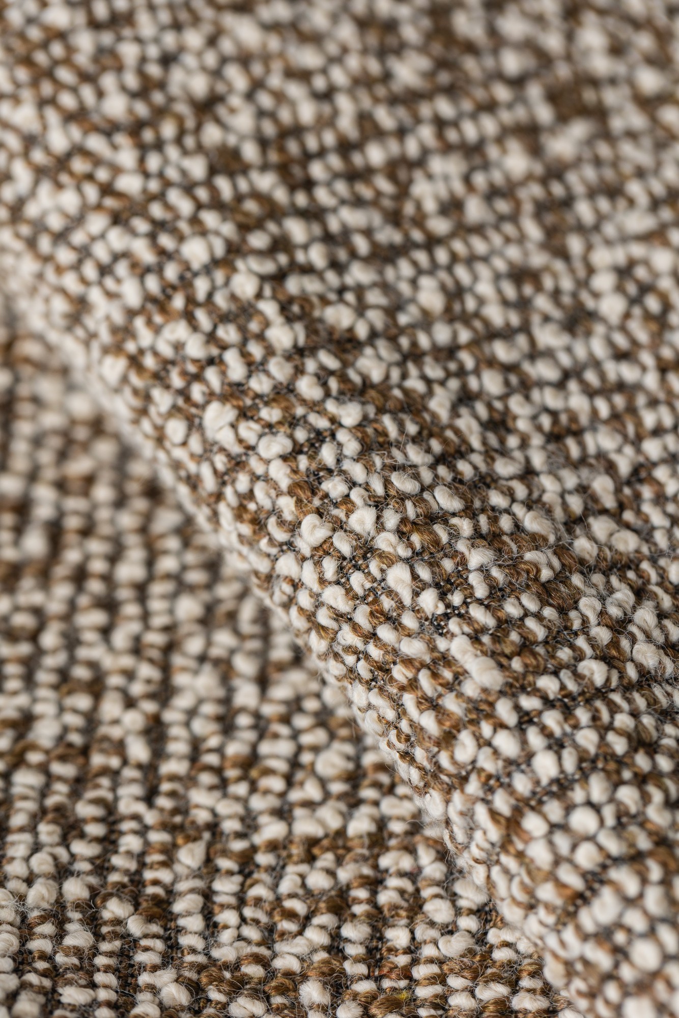 9660-04 Pappus Golden Jackal Hero Image