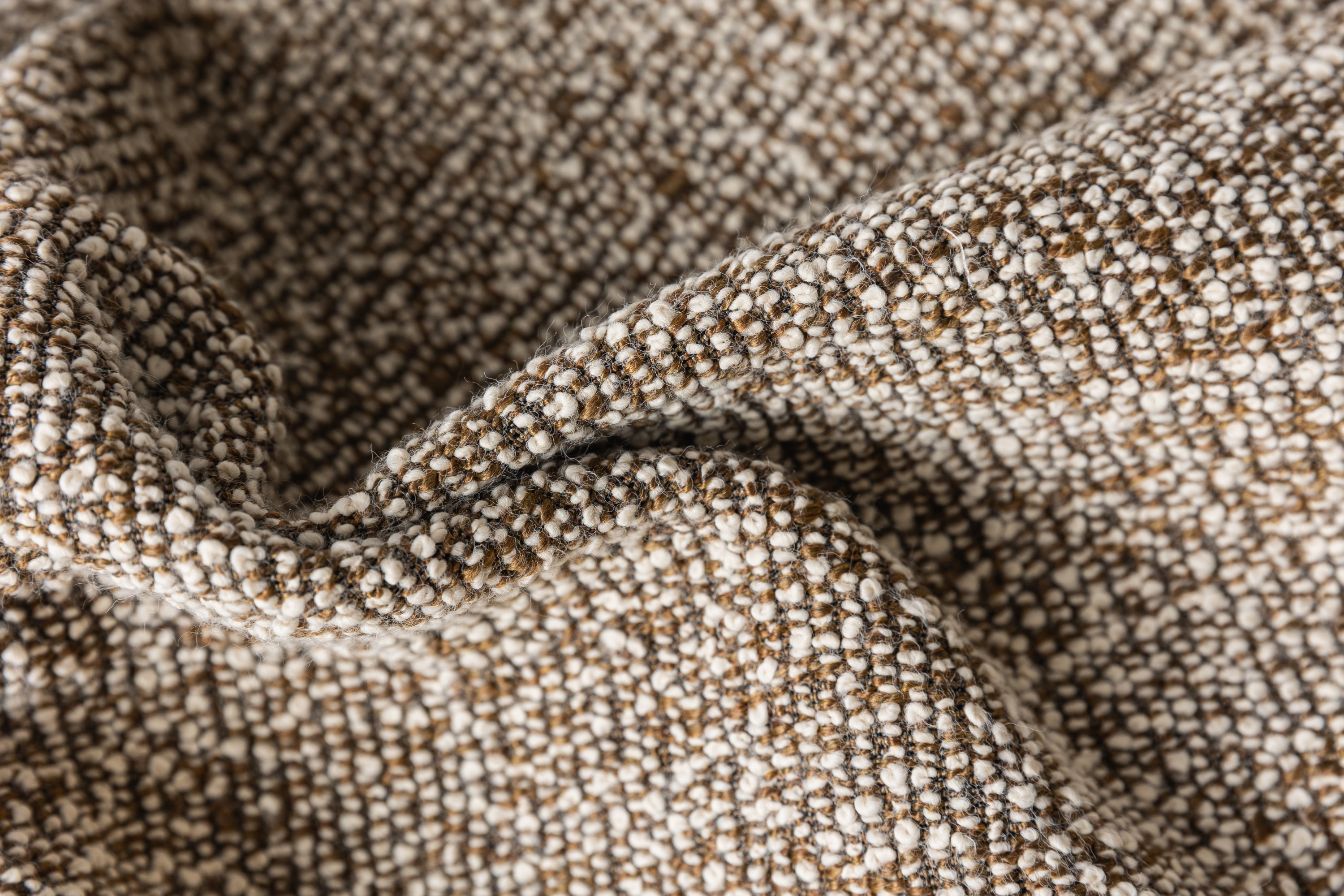 9660-04 Pappus Golden Jackal Hero Image