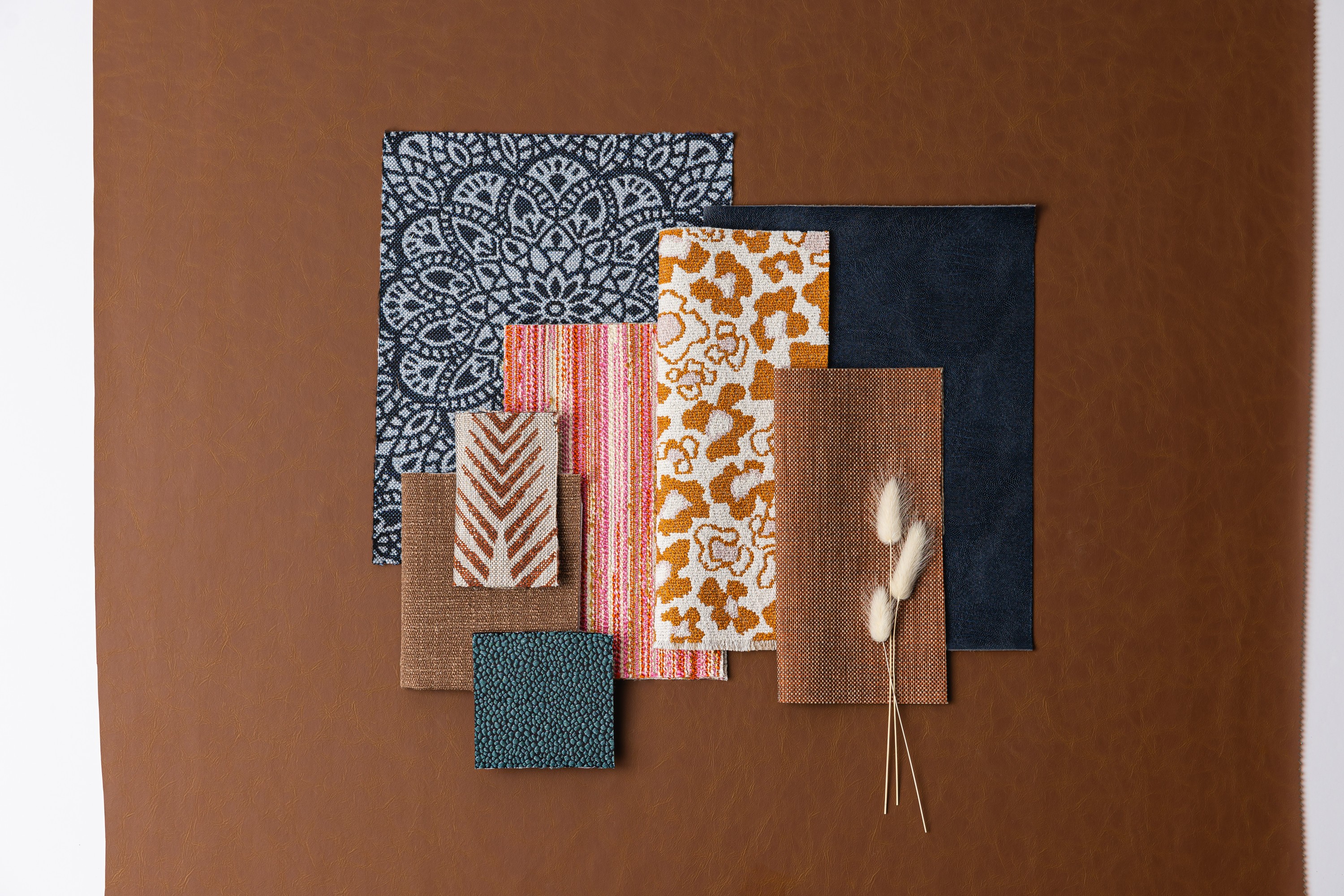 Beautiful Species Collection Hero Image