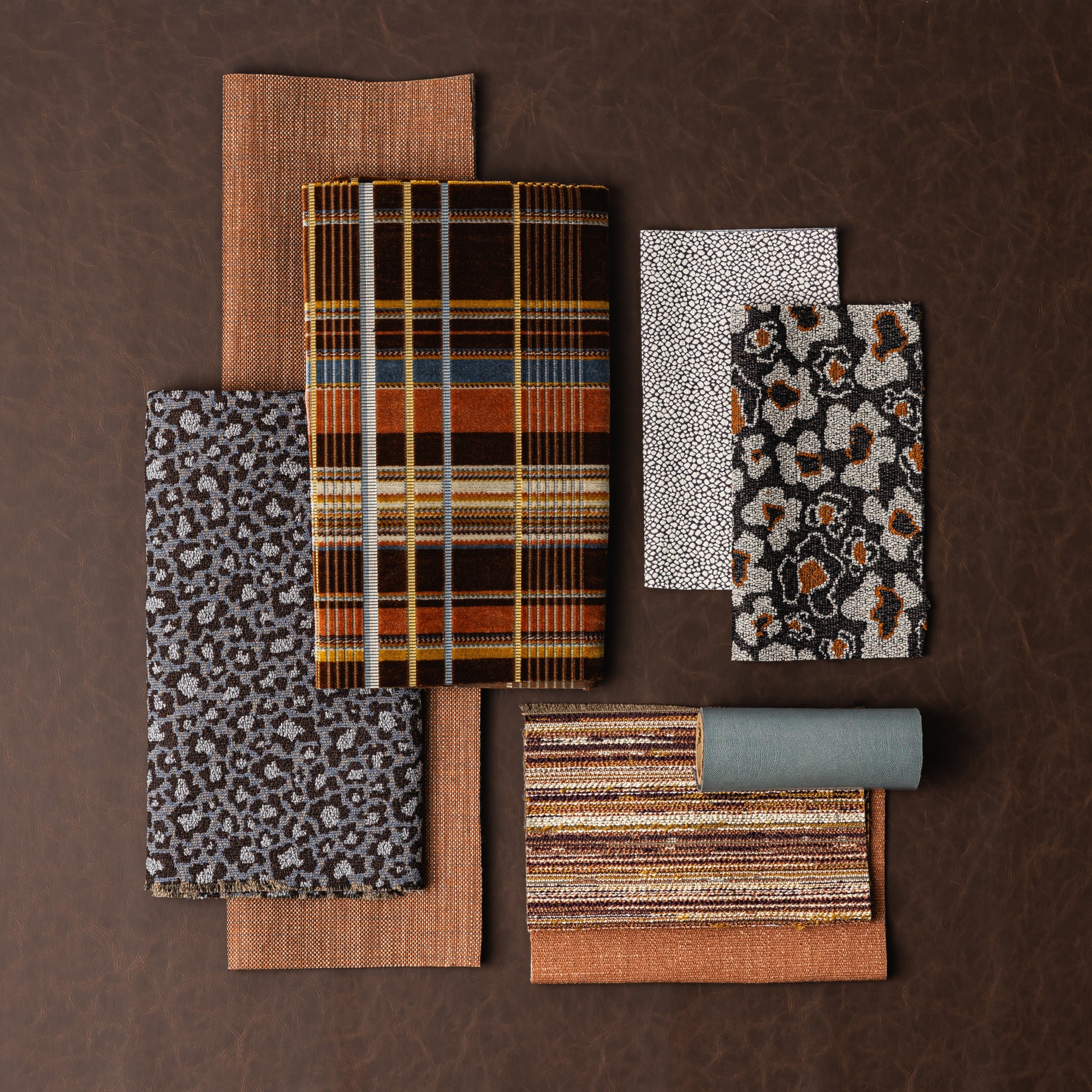 Aries Cocoa, Bower - Pueblo, Rosette - Night Owl, Longji - Spice Shop, Stampede - Quail Egg, Tulliana - Ocelot, Galapagos - Jade Azore, Celosia - Canyon Reef, Byzantina - Roasted Carrot Hero Image