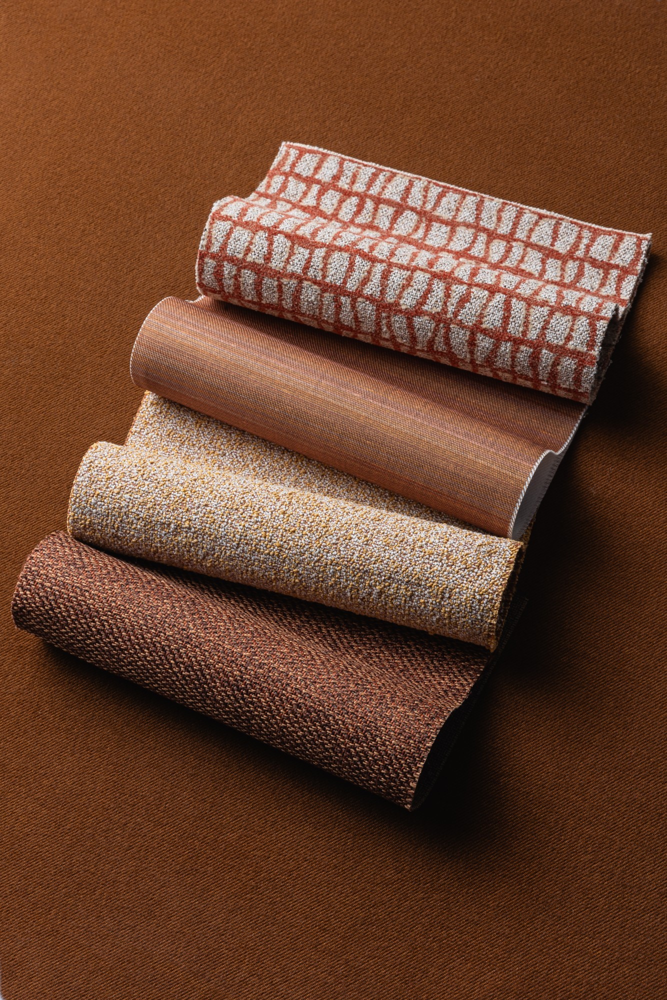 Carmi - Azalea Sphinx, Winslet - Arizona Wave, Ajax - Mac and Cheese, Kai - Chocolate Habanero, Dhara - Orangutan Hero Image