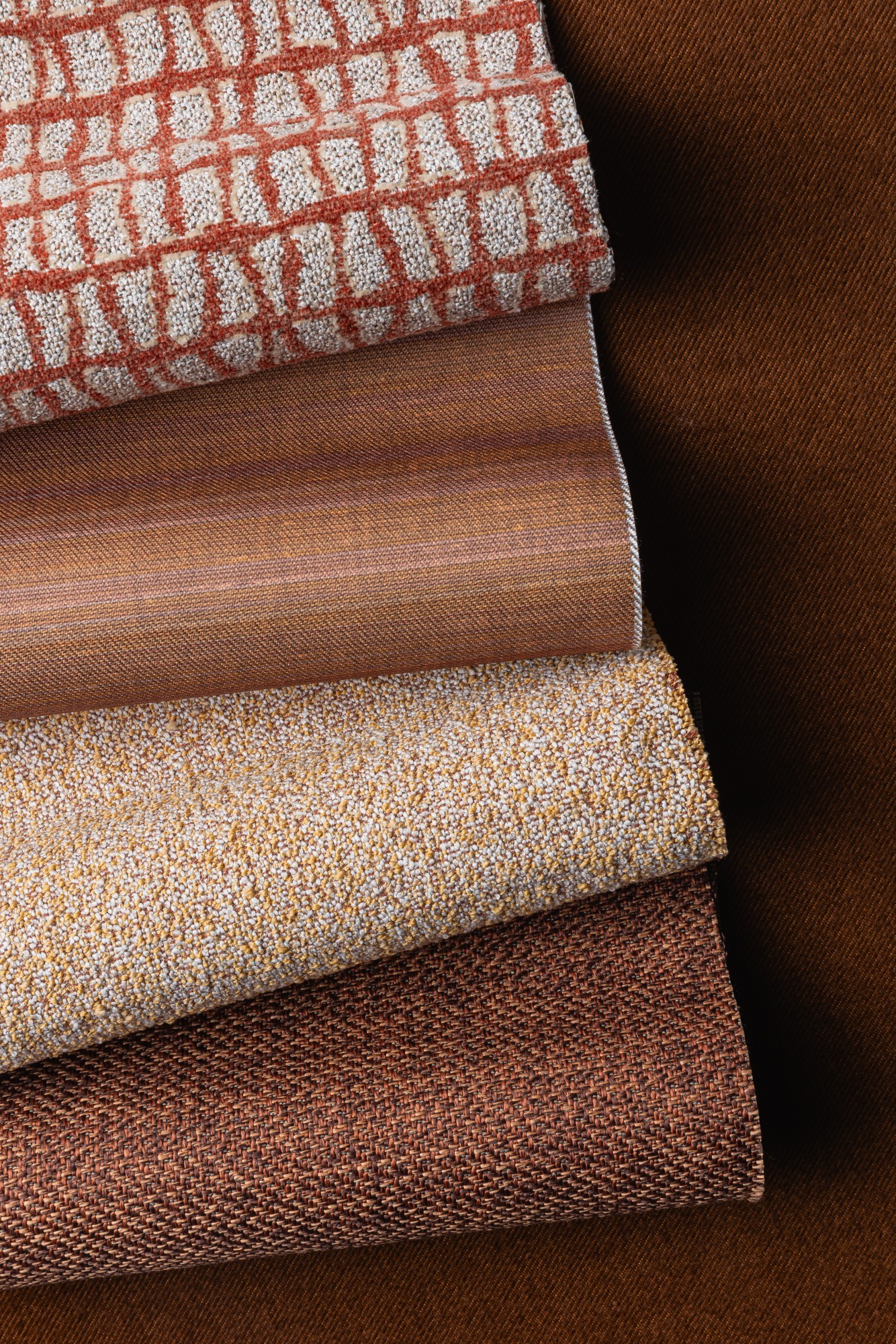 Carmi - Azalea Sphinx, Winslet - Arizona Wave, Ajax - Mac and Cheese, Kai - Chocolate Habanero, Dhara - Orangutan