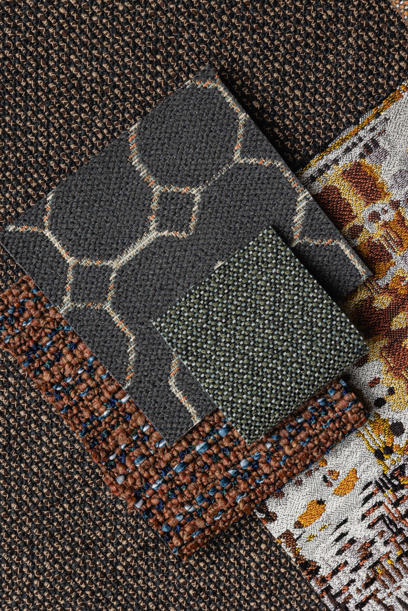 Manuscript Tortie Cat, Blurb Coal Mine, First Edition Balsam Fir, Nook Red Pietersite, Saga Beehive Hero Image