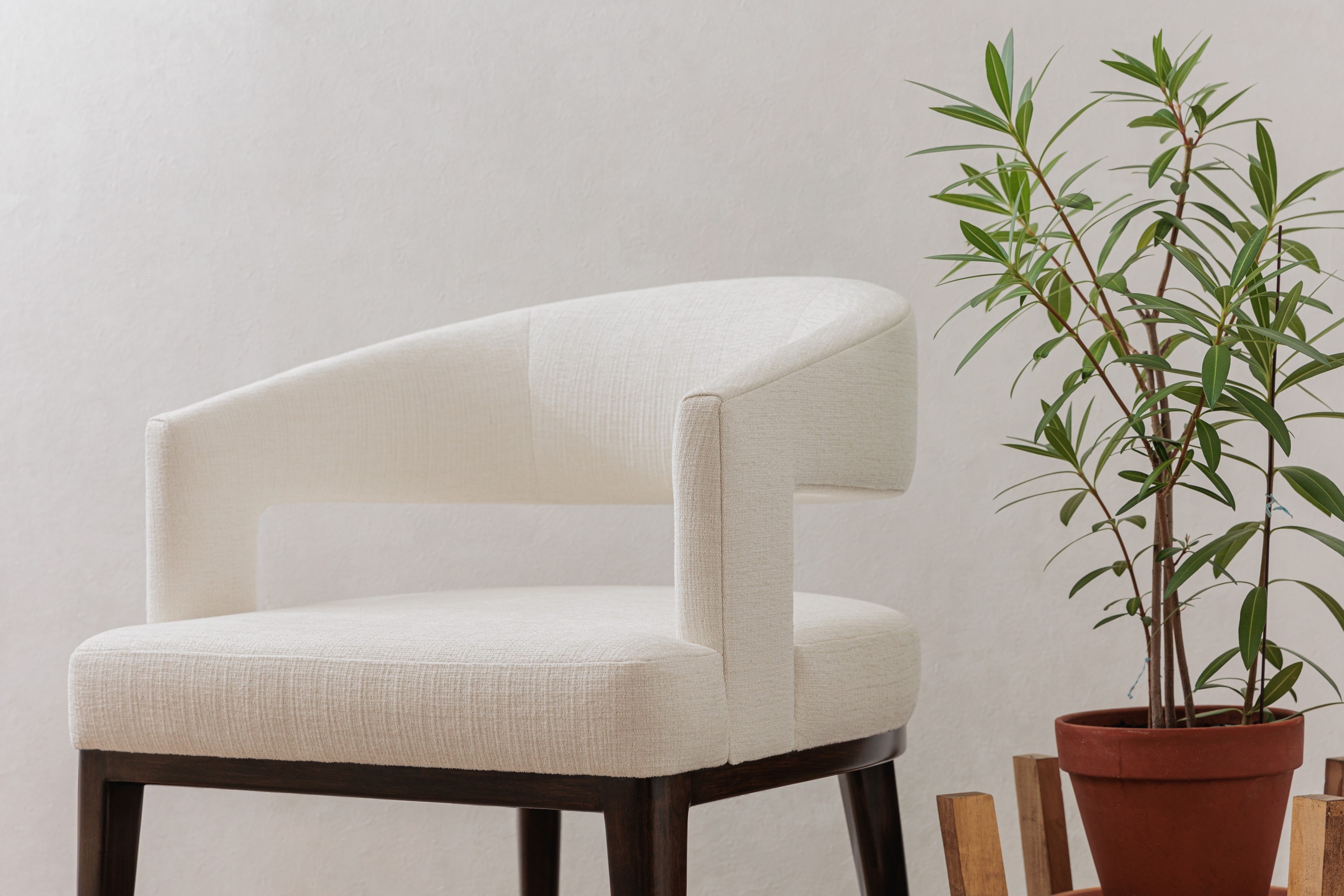 V111-01 Lona - Meringue, 3164-01 Phoenix - Dall Sheep Installation Image