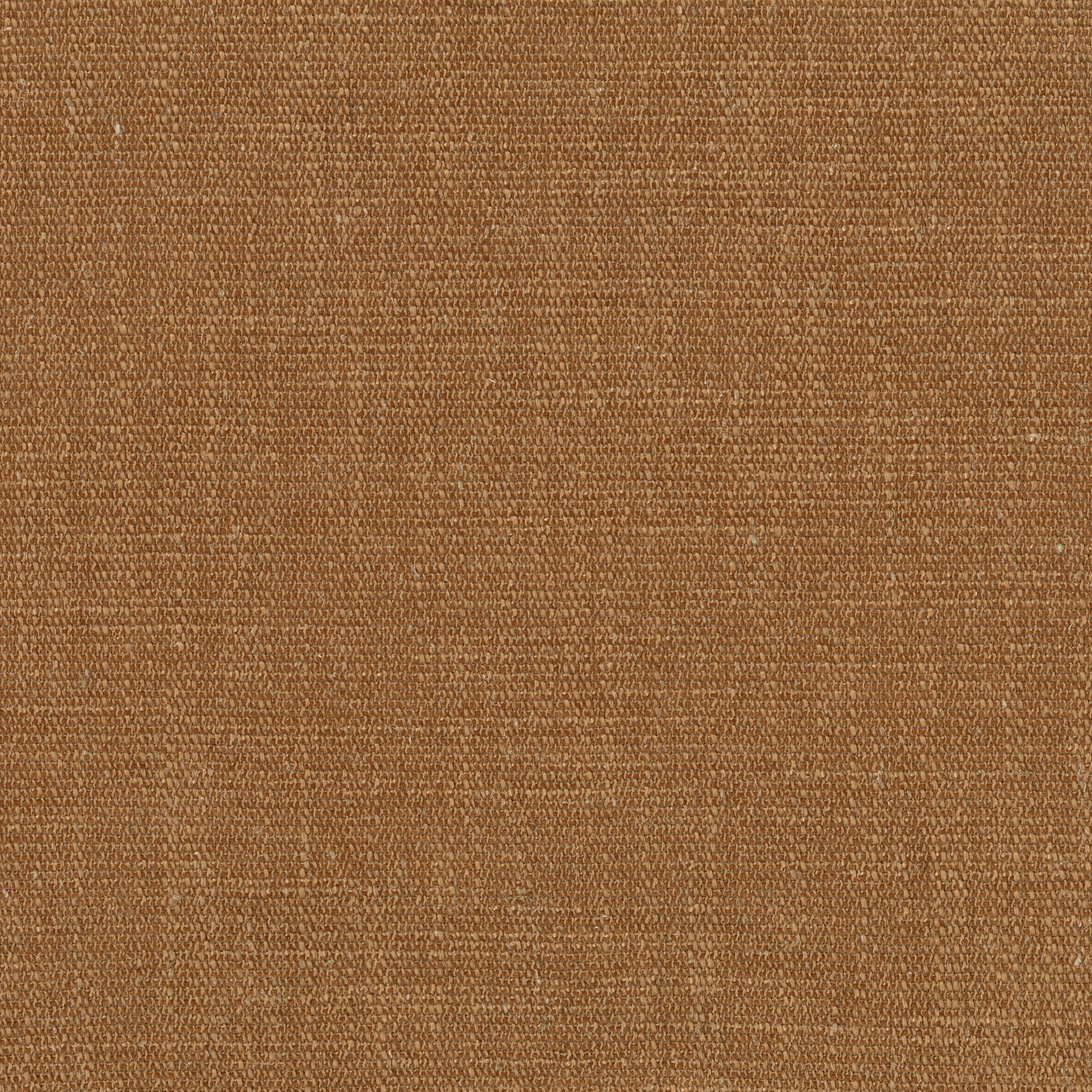 8710-06 Byzantina - Roasted Carrot Swatch 