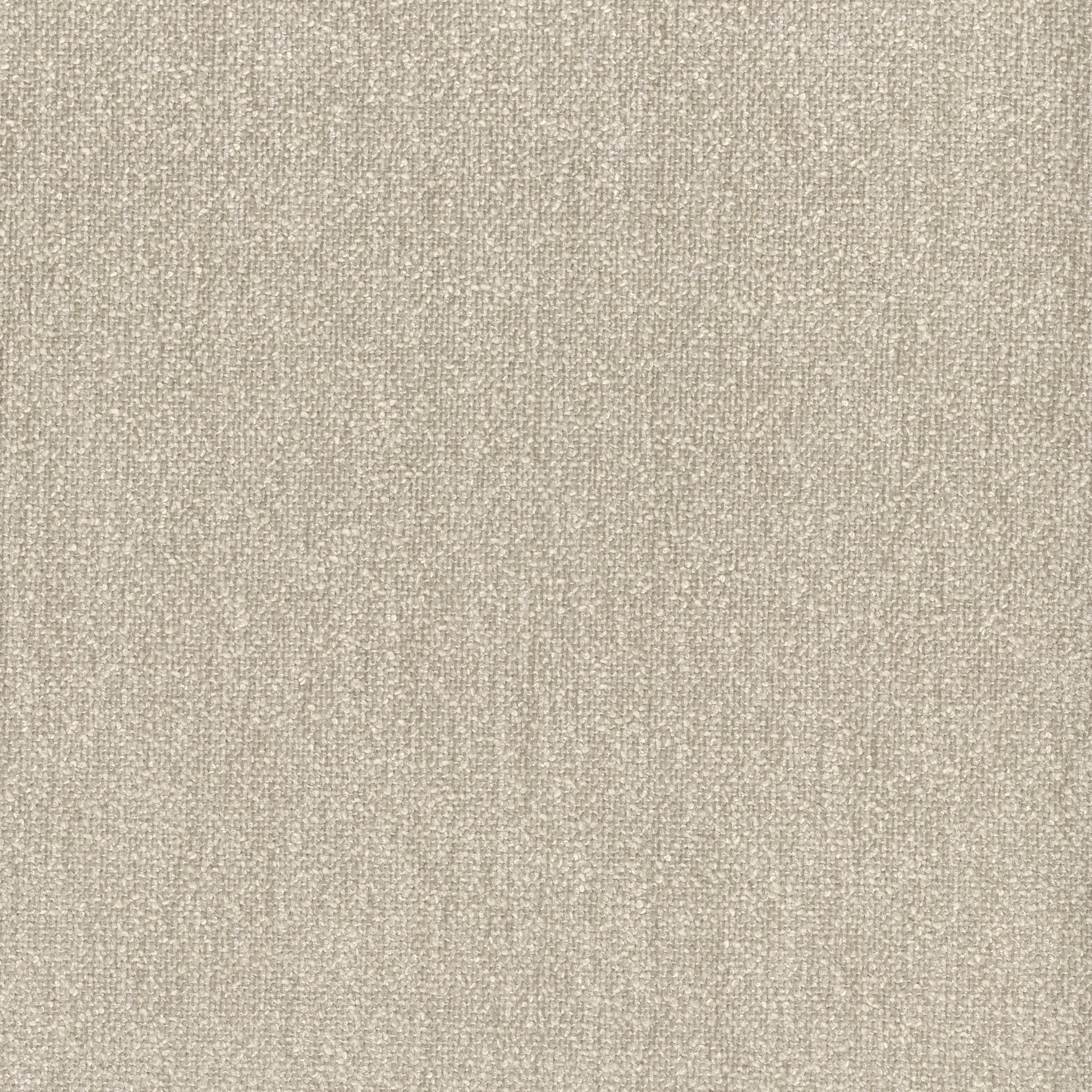 8583-03 Clement - Wild Mushroom Swatch