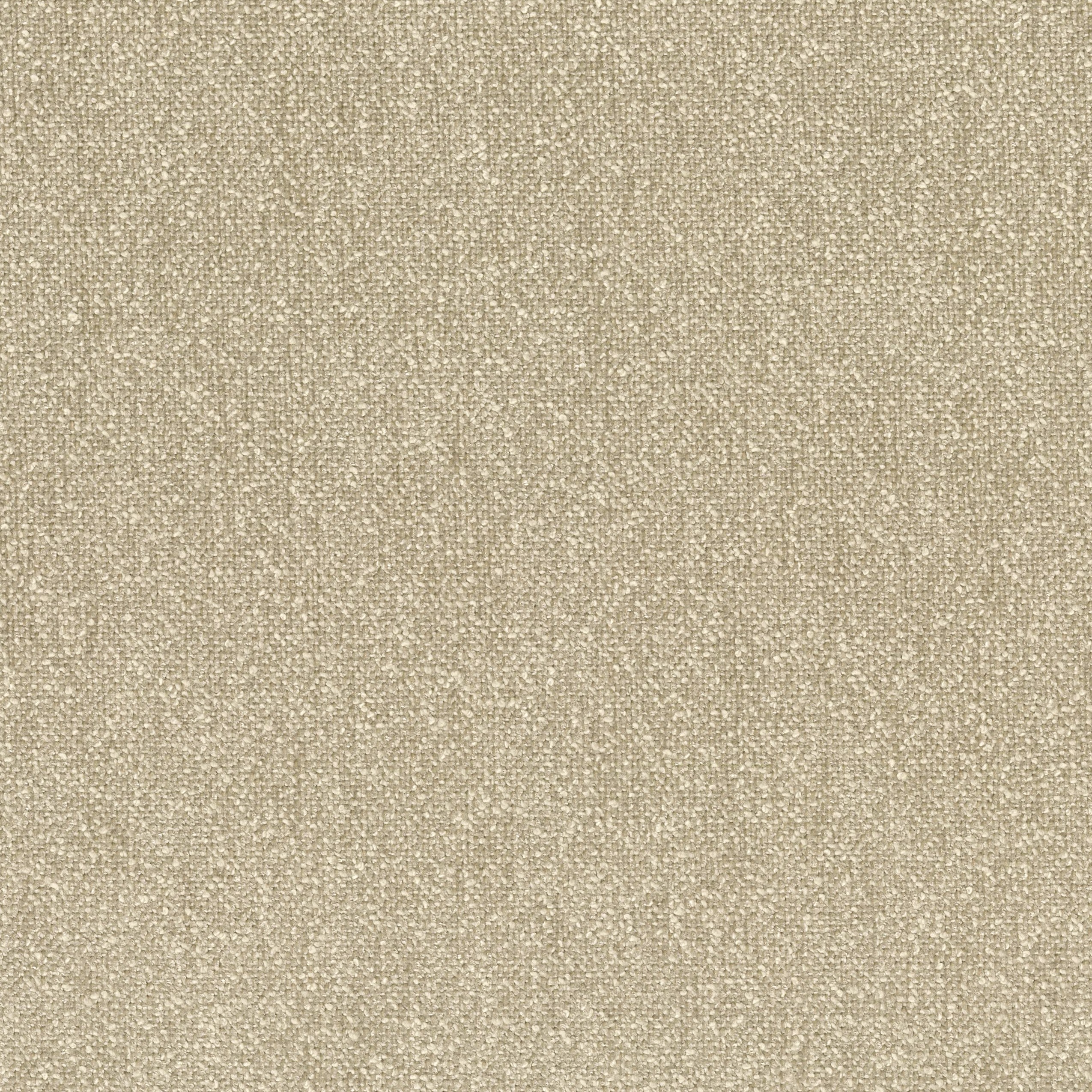 8583-04 Clement - Sand Dollar Swatch