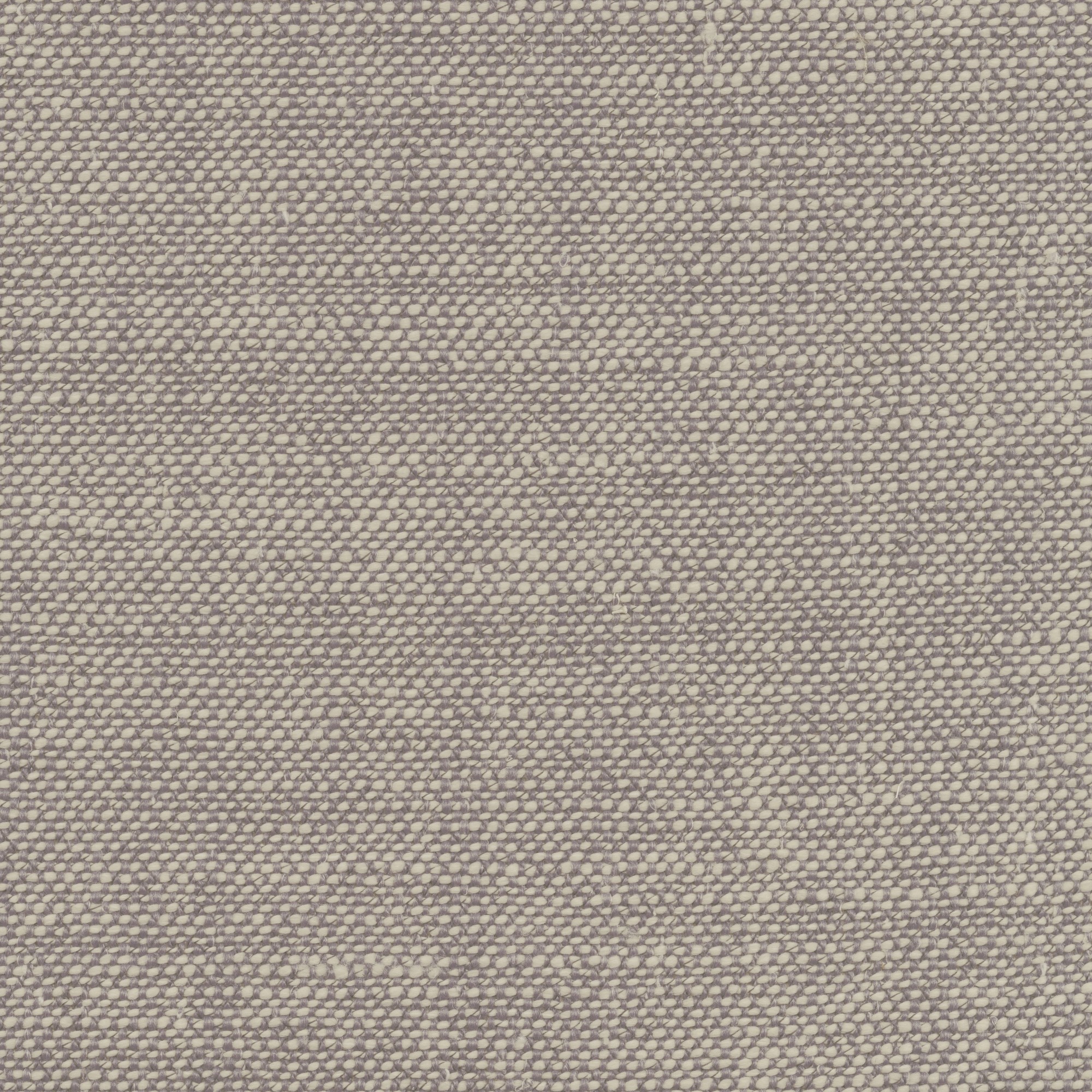 4319-05 Notes - Pale Grape Swatch