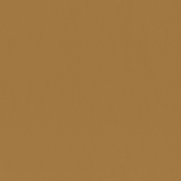 4242-04 Daphnis - Tiger Eye Swatch