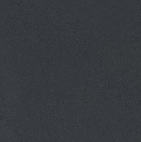 4242-08 Daphnis - Blackcurrant Swatch