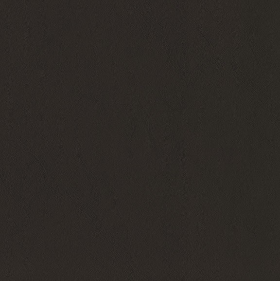 4242-11 Daphnis - Black Lacquer Swatch
