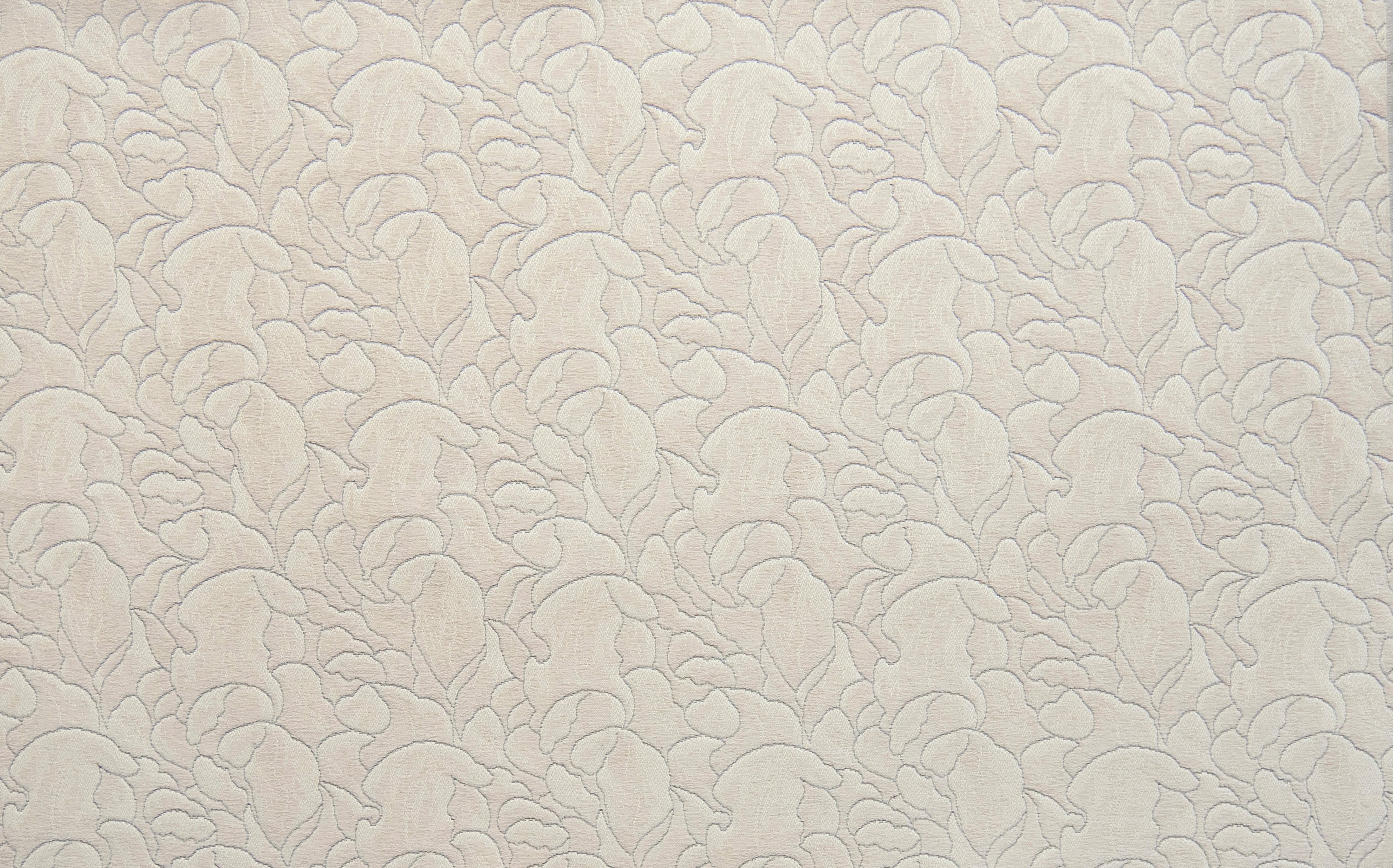 4355-01 Daylily - Marzipan Full Repeat