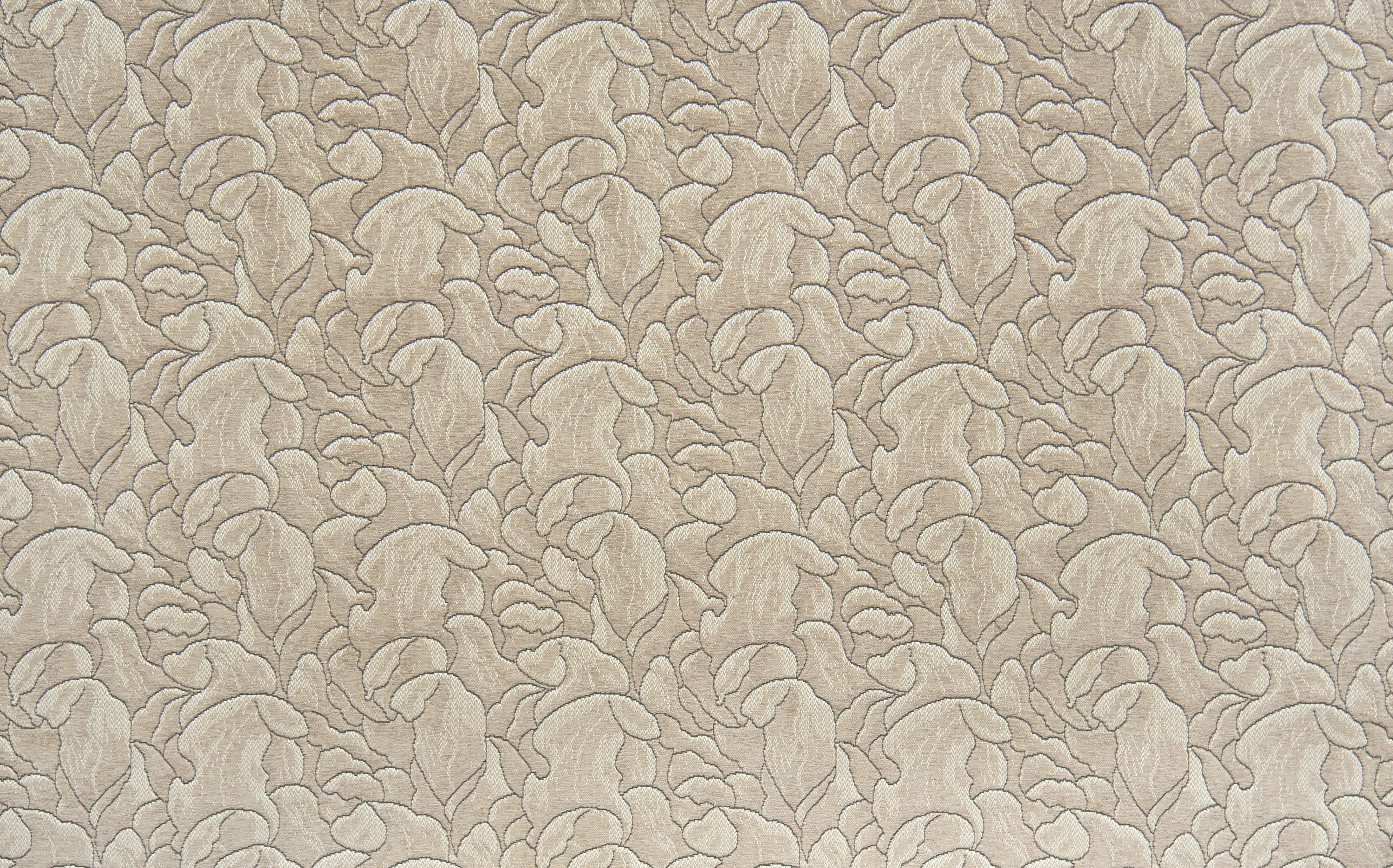 4355-03 Daylily - Chai Latte Full Repeat
