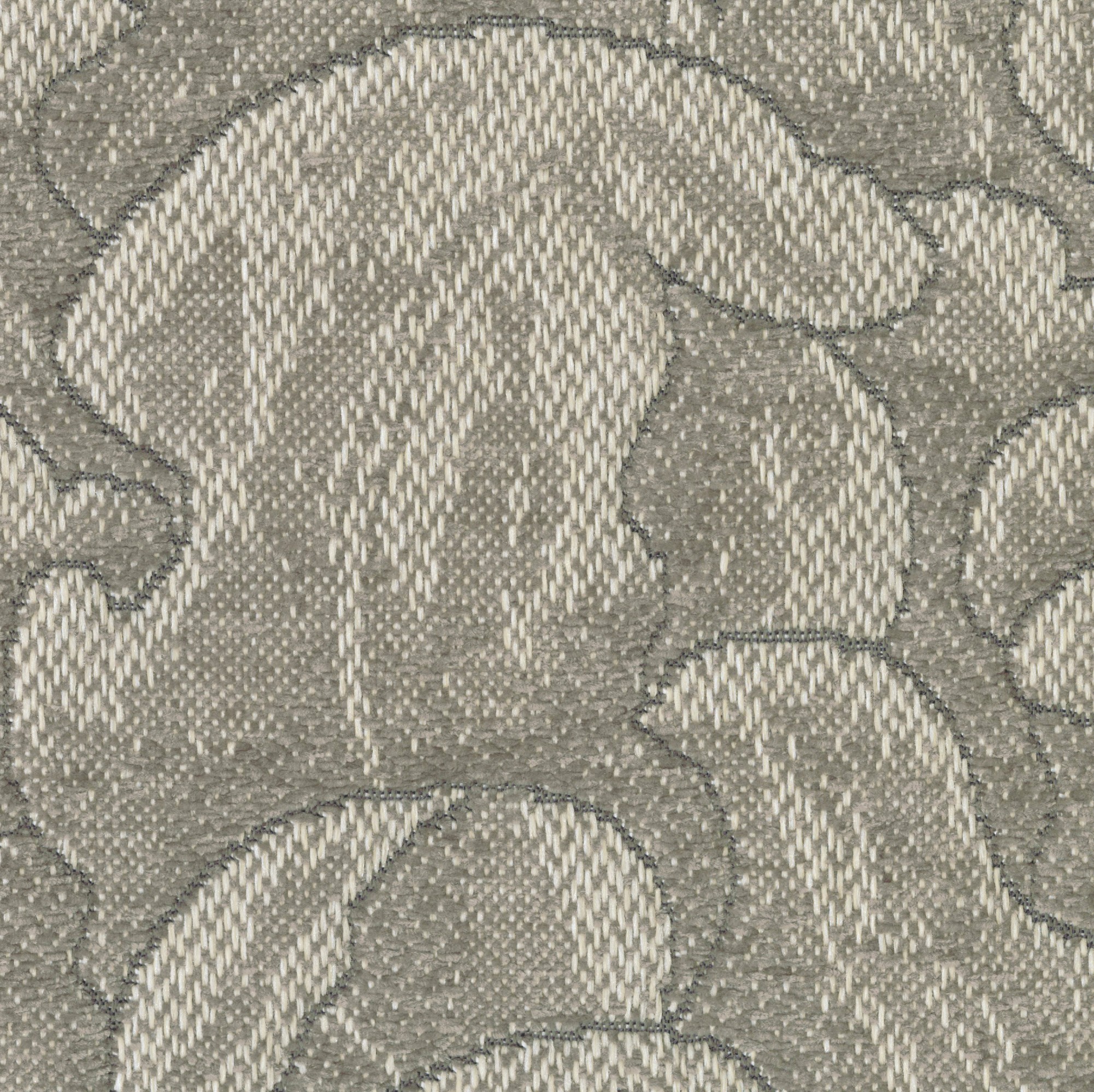 4355-04 Daylily - Northern Mockingbird Swatch