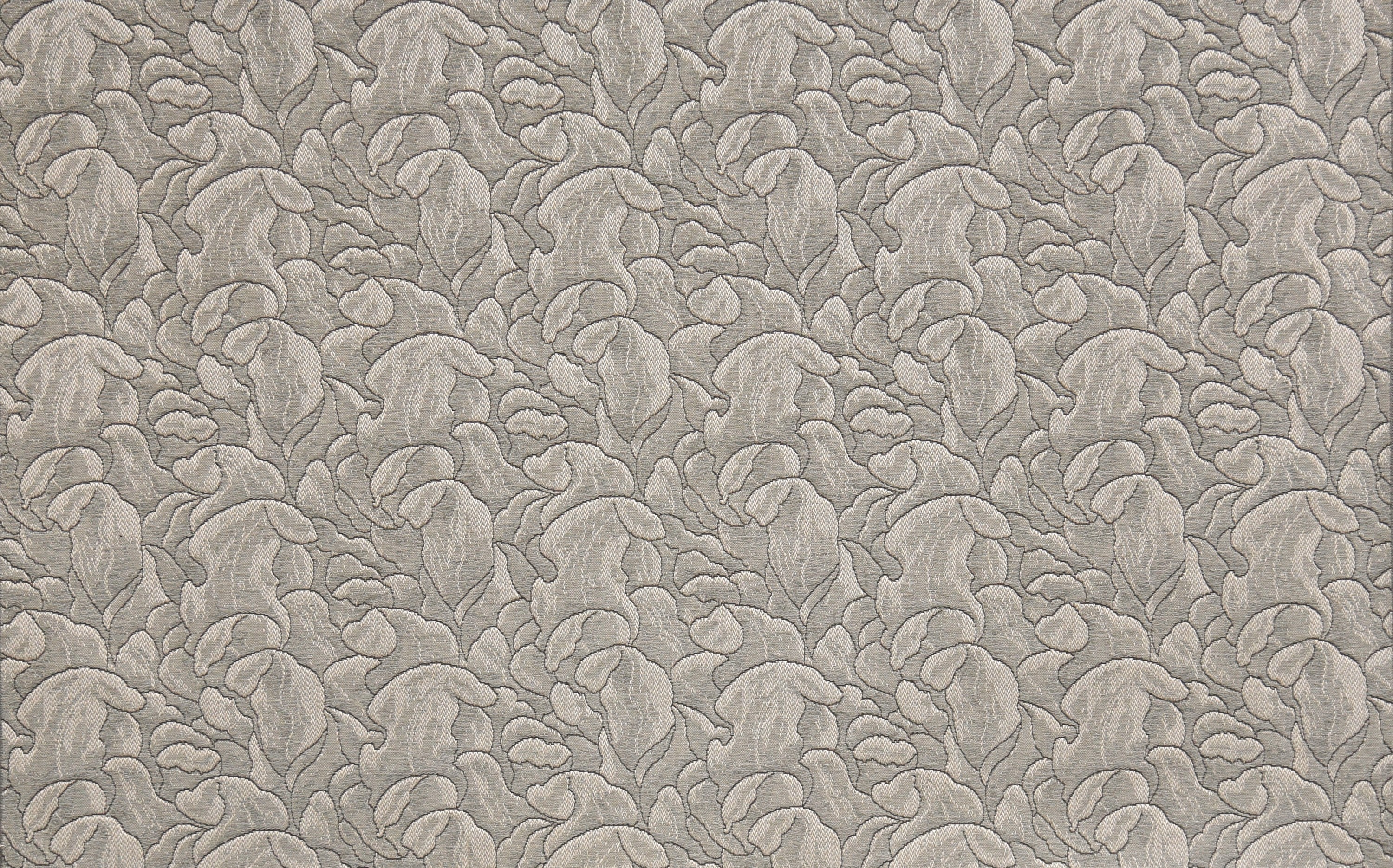4355-04 Daylily - Northern Mockingbird Full Repeat