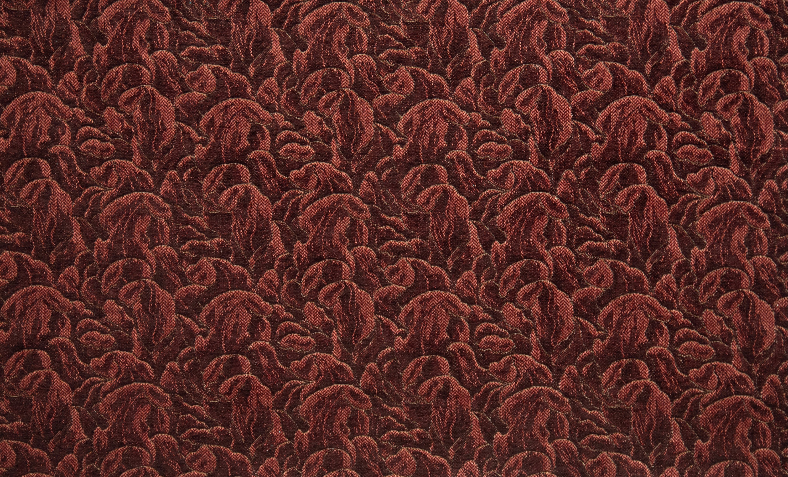 4355-08 Daylily - Chipotle Pepper Full Repeat