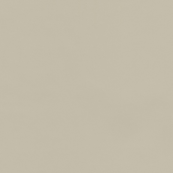 6815-03 Journal - Sand Dollar Swatch