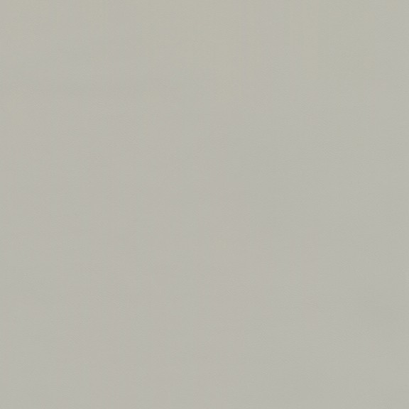 6815-04 Journal - Putty Swatch