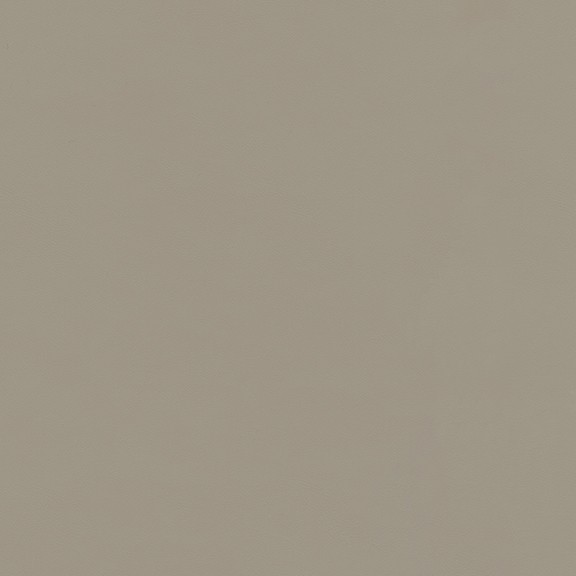 6815-06 Journal - Sea Lion Swatch