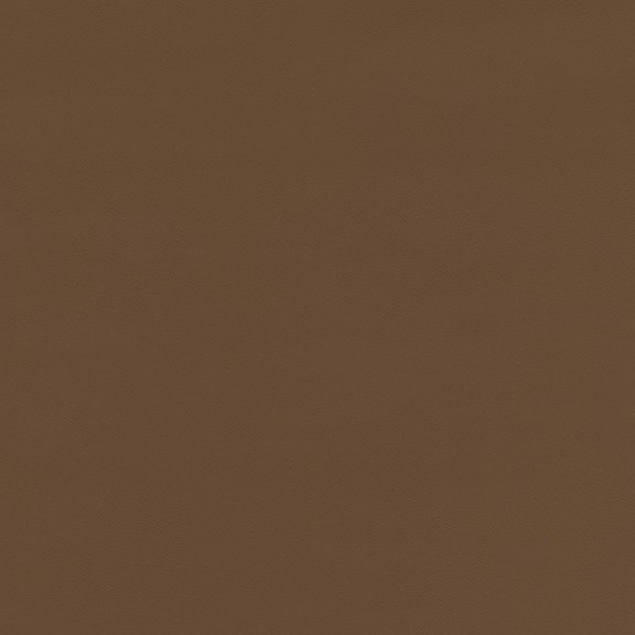 6815-07 Journal - Sienna Clay Swatch