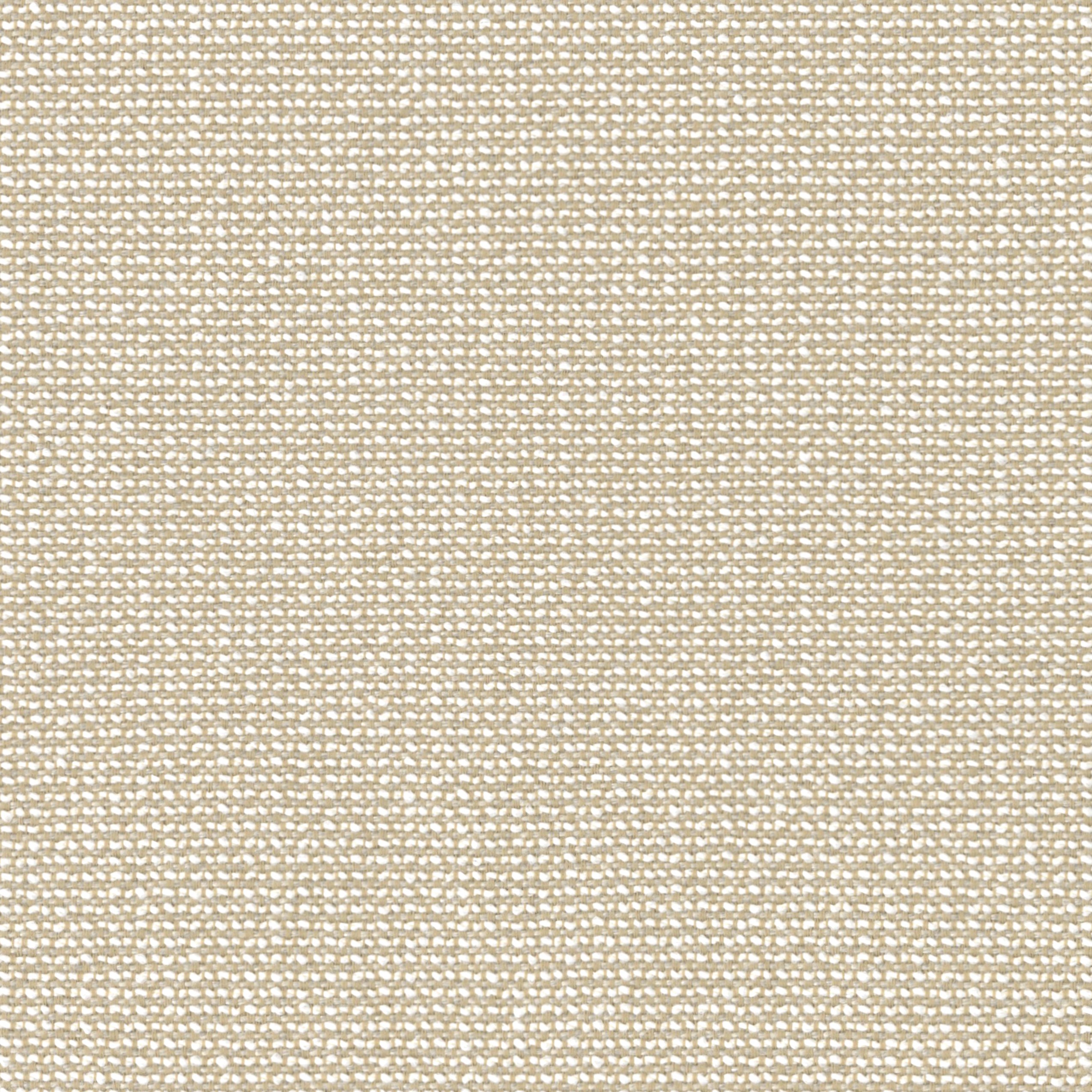 3202-02  First Edition - Toasted Coconut Swatch