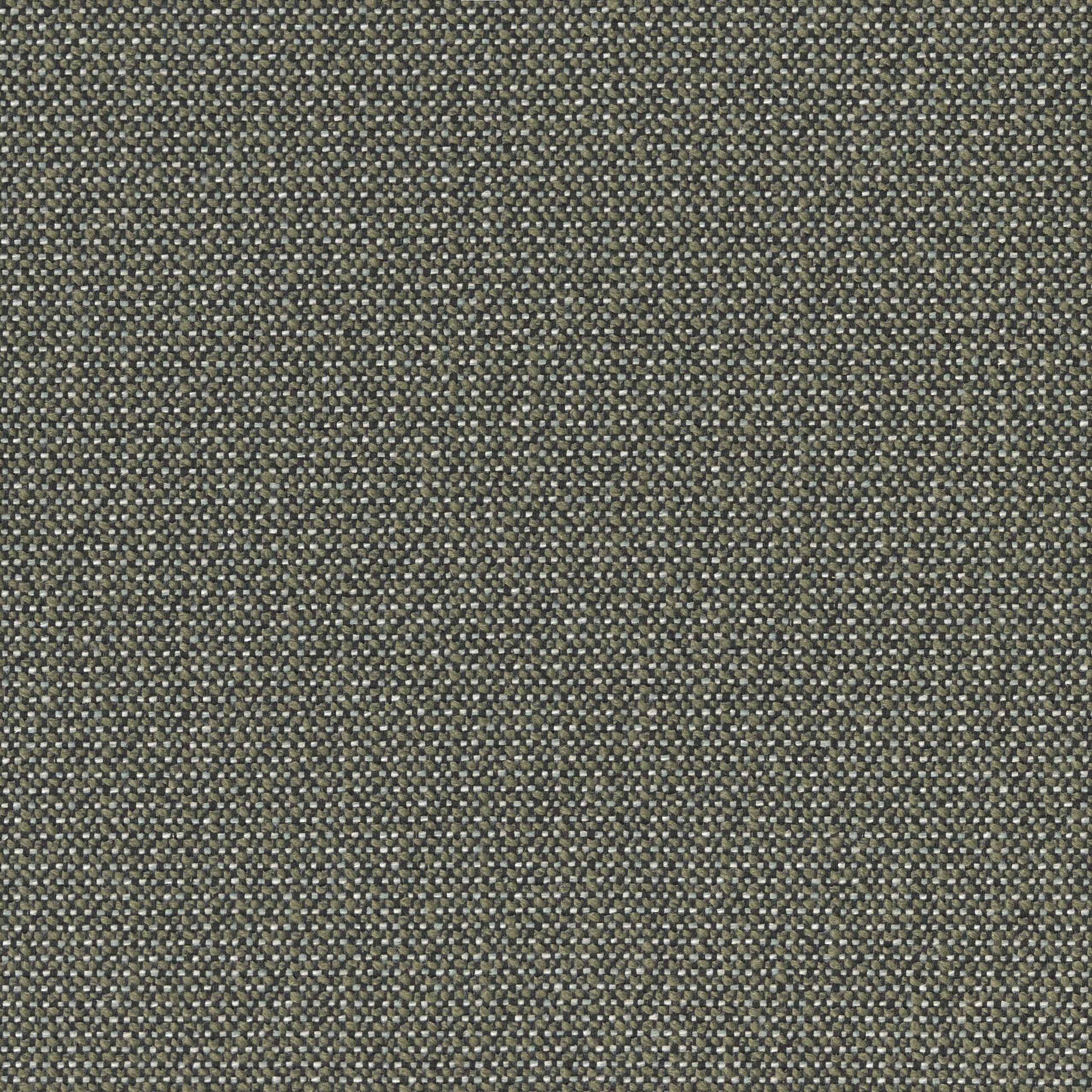 3202-06 First Edition - Balsam Fir Swatch