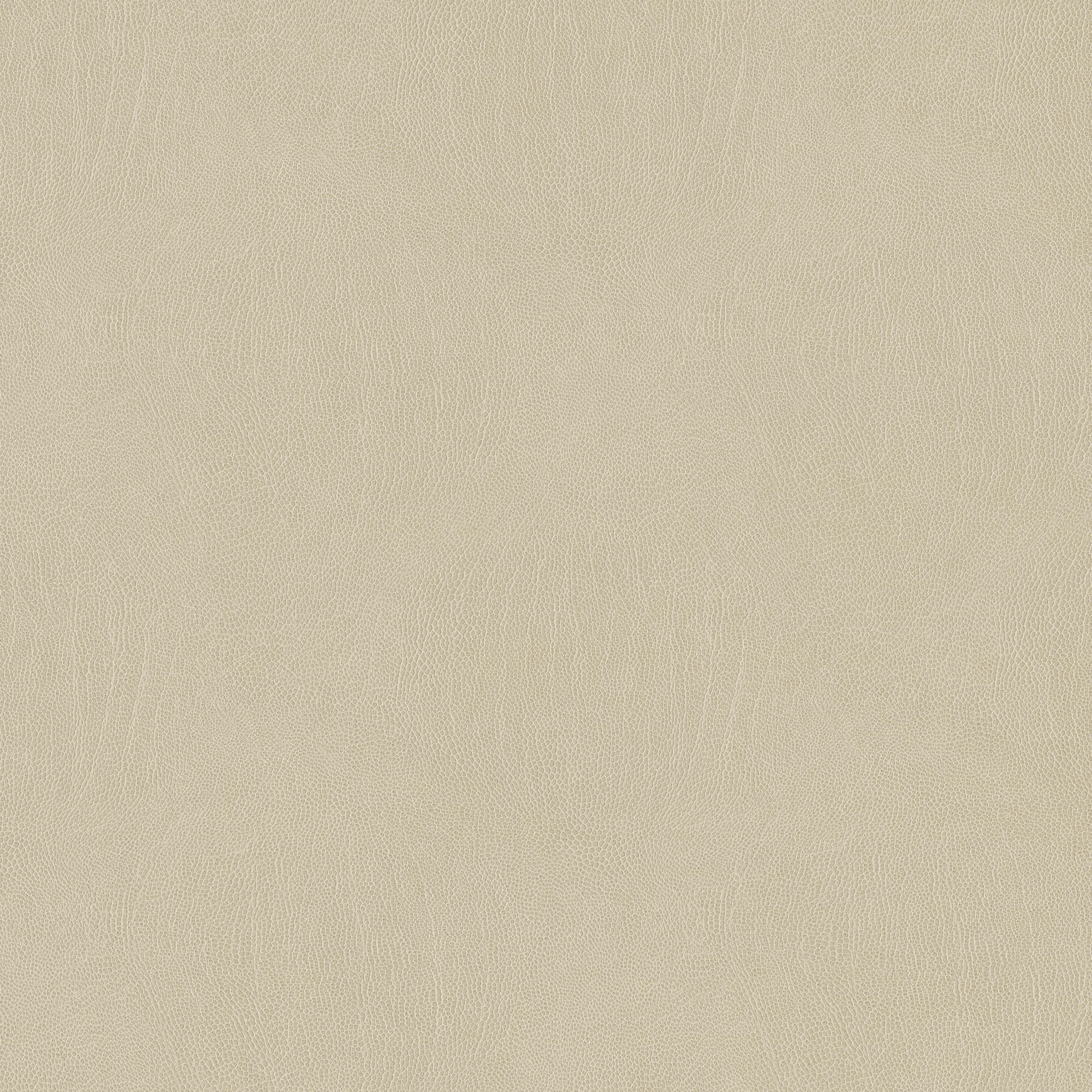 3993-02 Galapagos - Cannellini Swatch