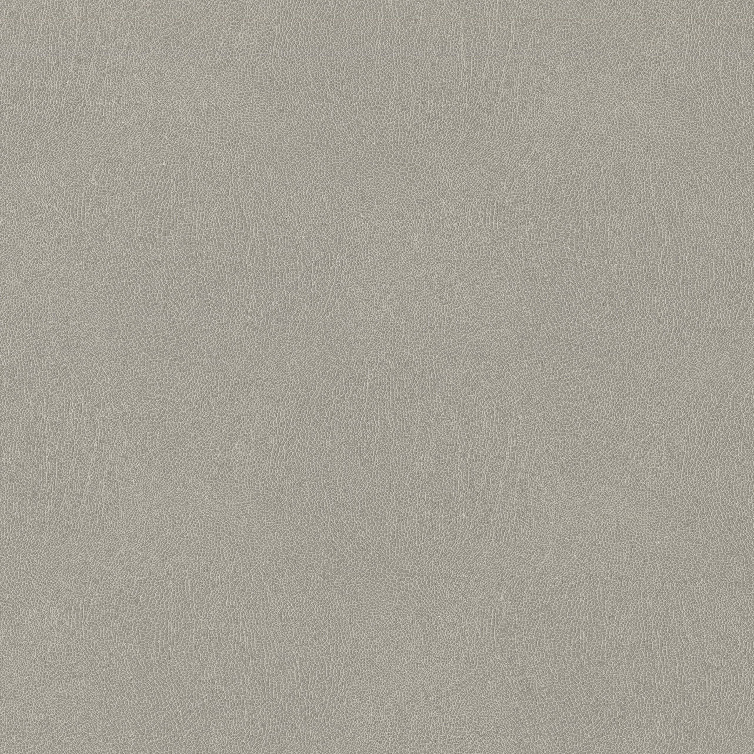 3993-03 Galapagos - Blush Grey Swatch