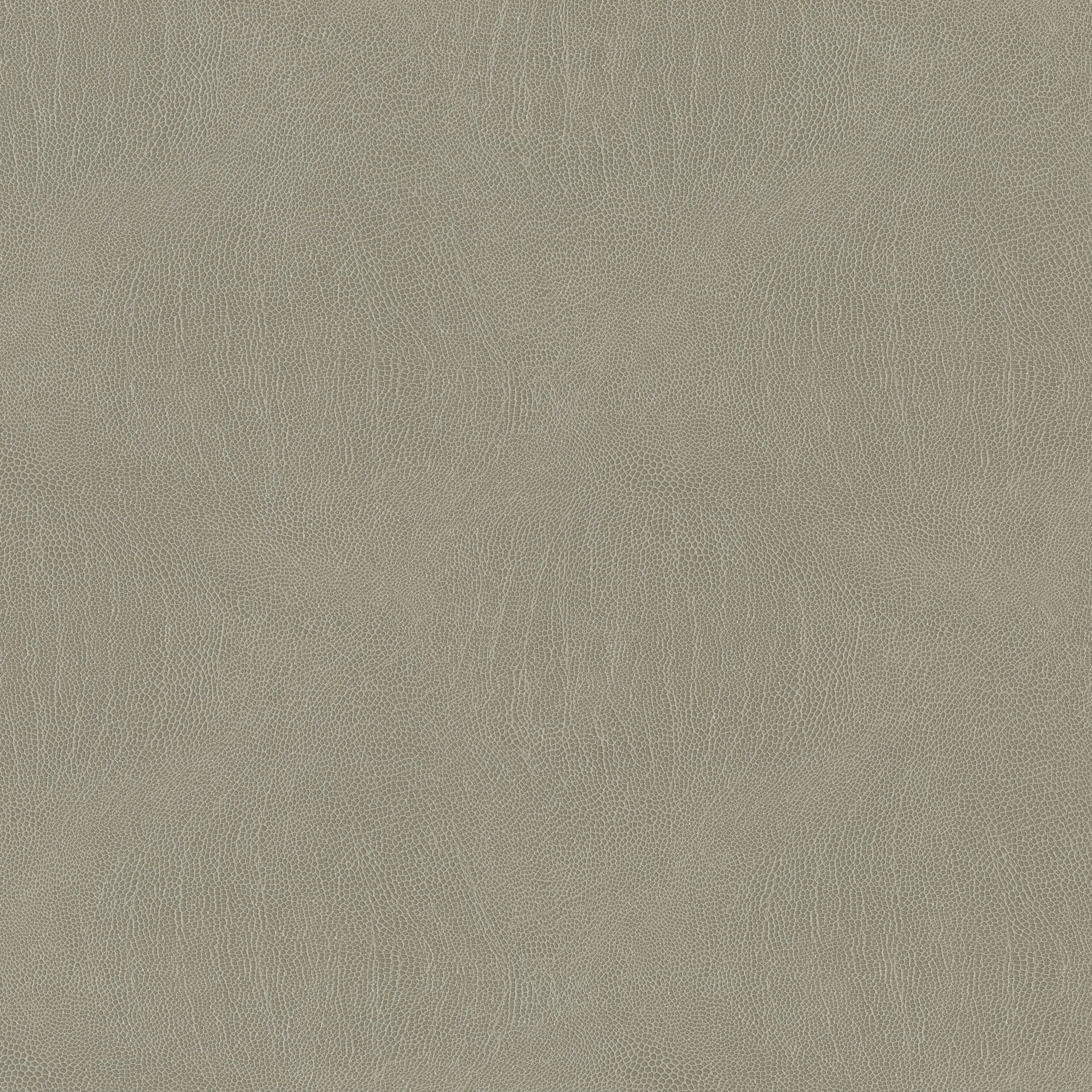 3993-05 Galapagos - Wood Ash Swatch