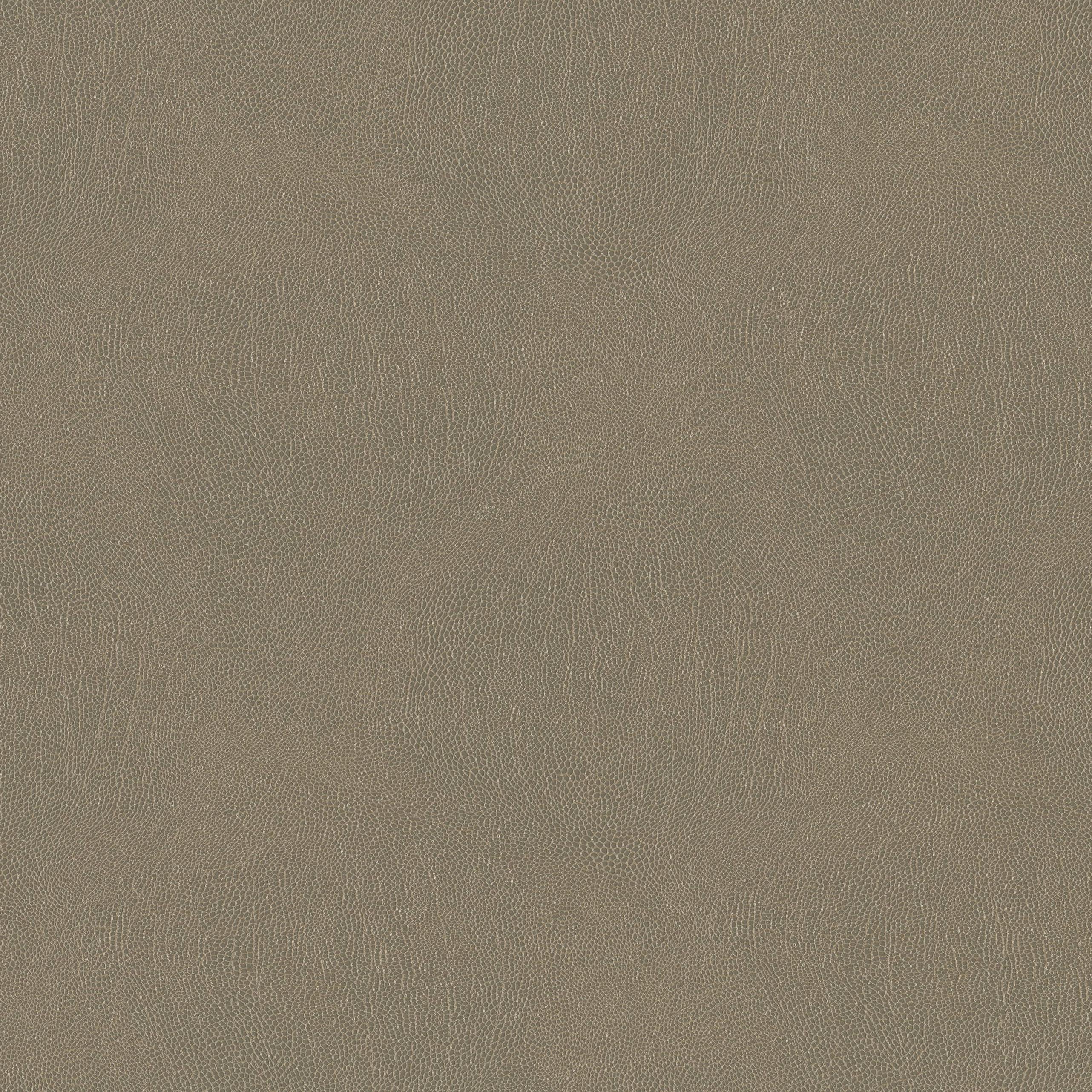 3993-06 Galapagos - Mudstone  Swatch