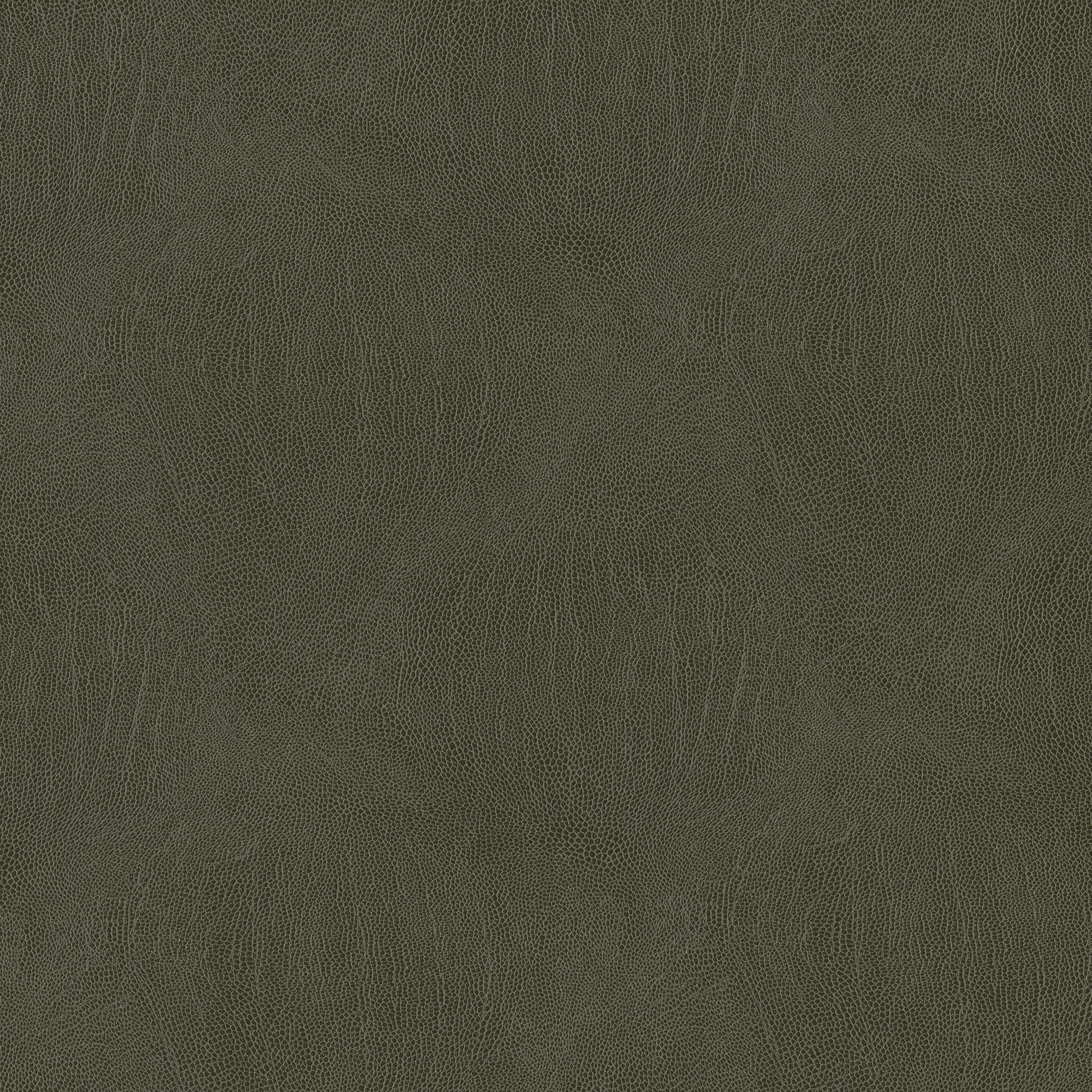 3993-09 Galapagos - Dolma Swatch