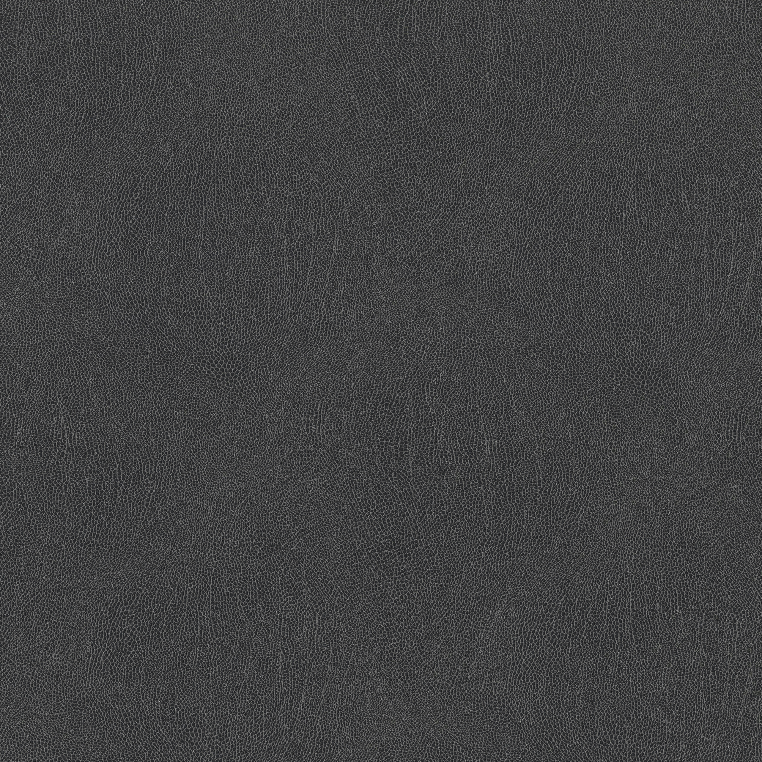 3993-10 Galapagos - Graphite Swatch