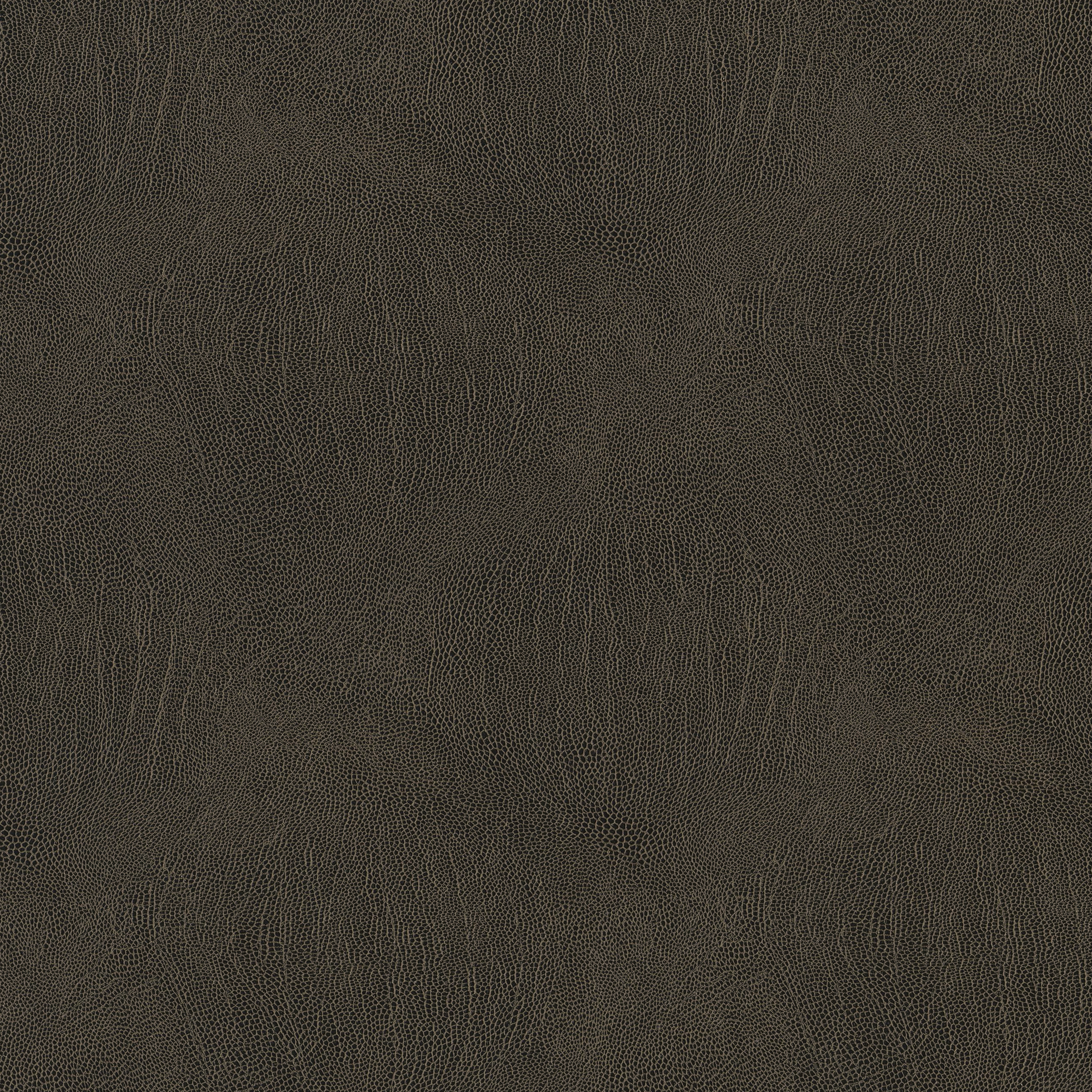 3993-12 Galapagos - Pumpernickel Swatch