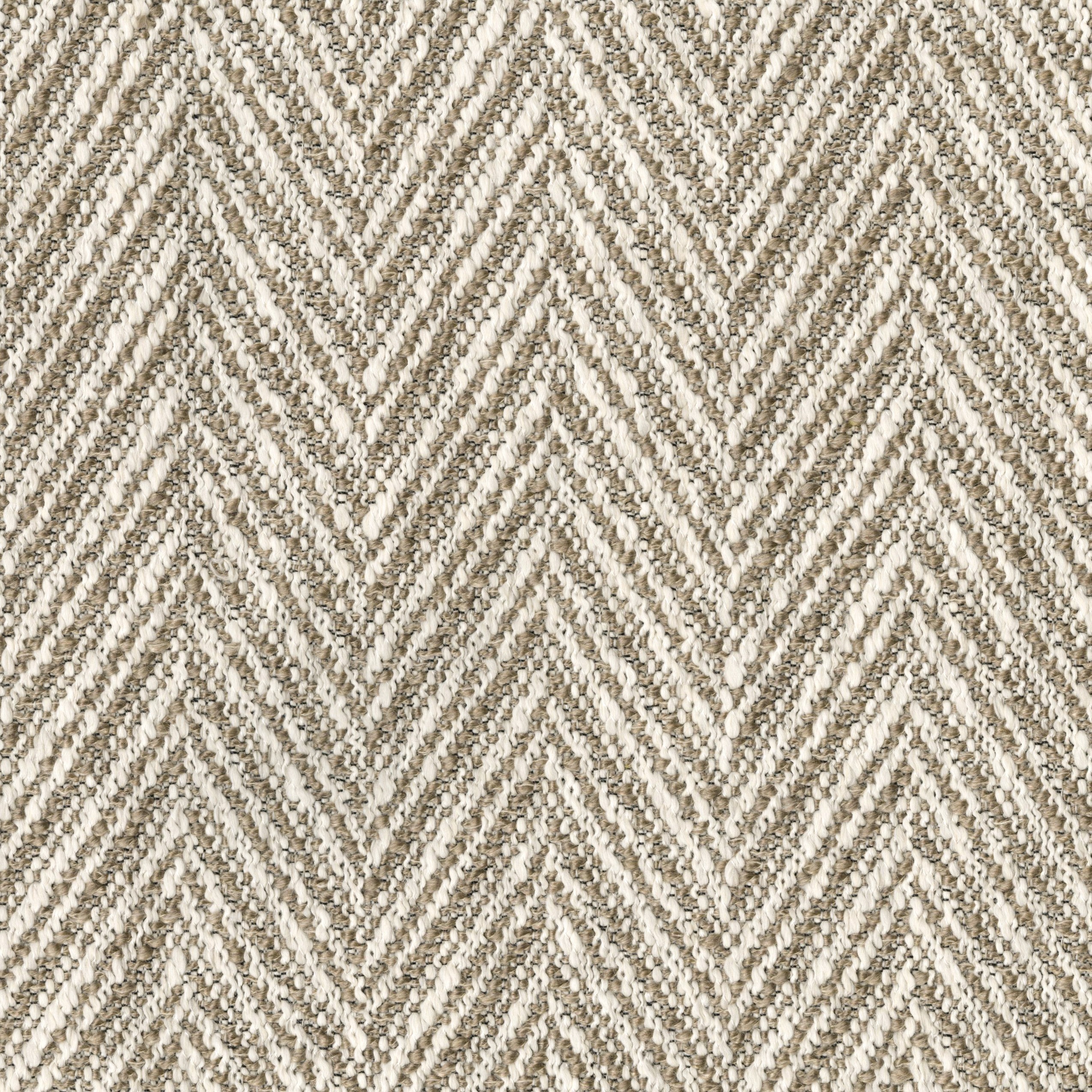 9665-03 Gazette - Agrippina Moth Swatch 