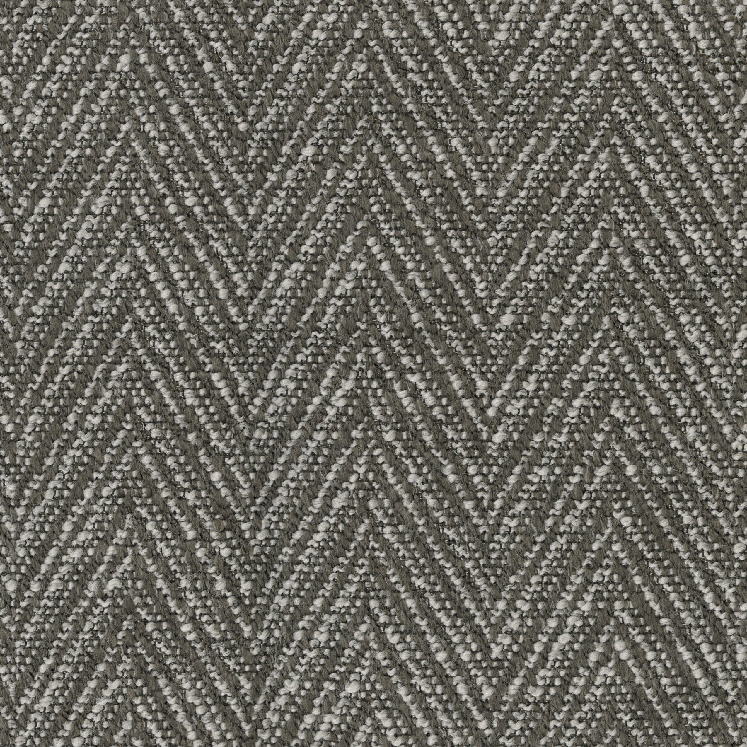 9665-07 Gazette - Grey Civet Swatch