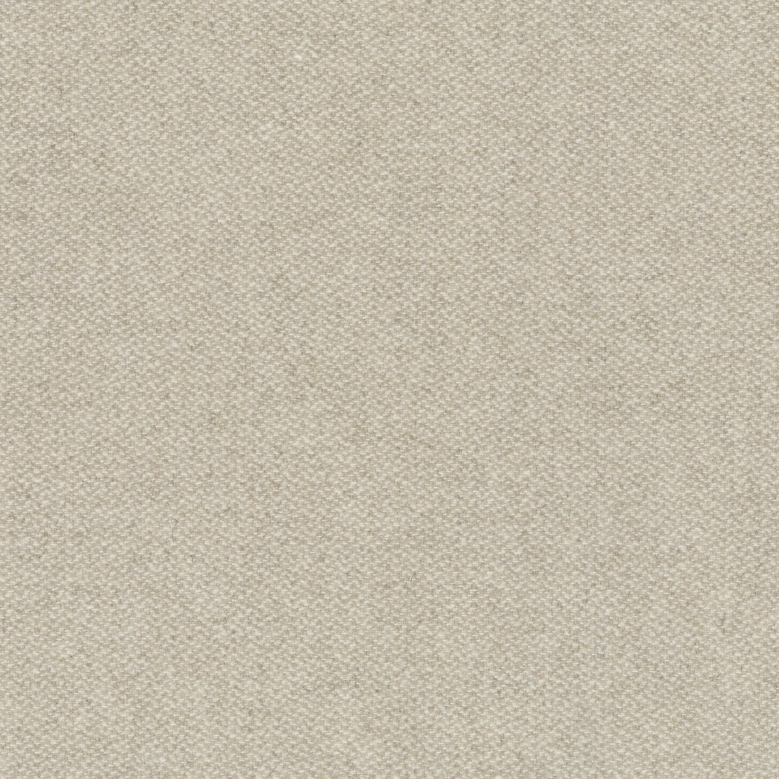 9648-01 Hachure - Camargue Horse Swatch