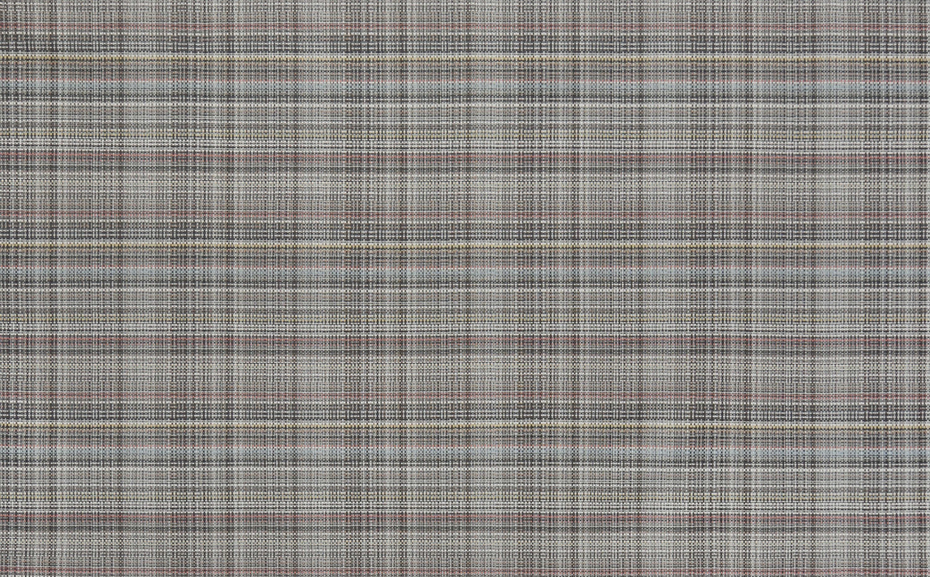 4521-06 Sonata - Blue-Eyed Bengal Full Repeat 