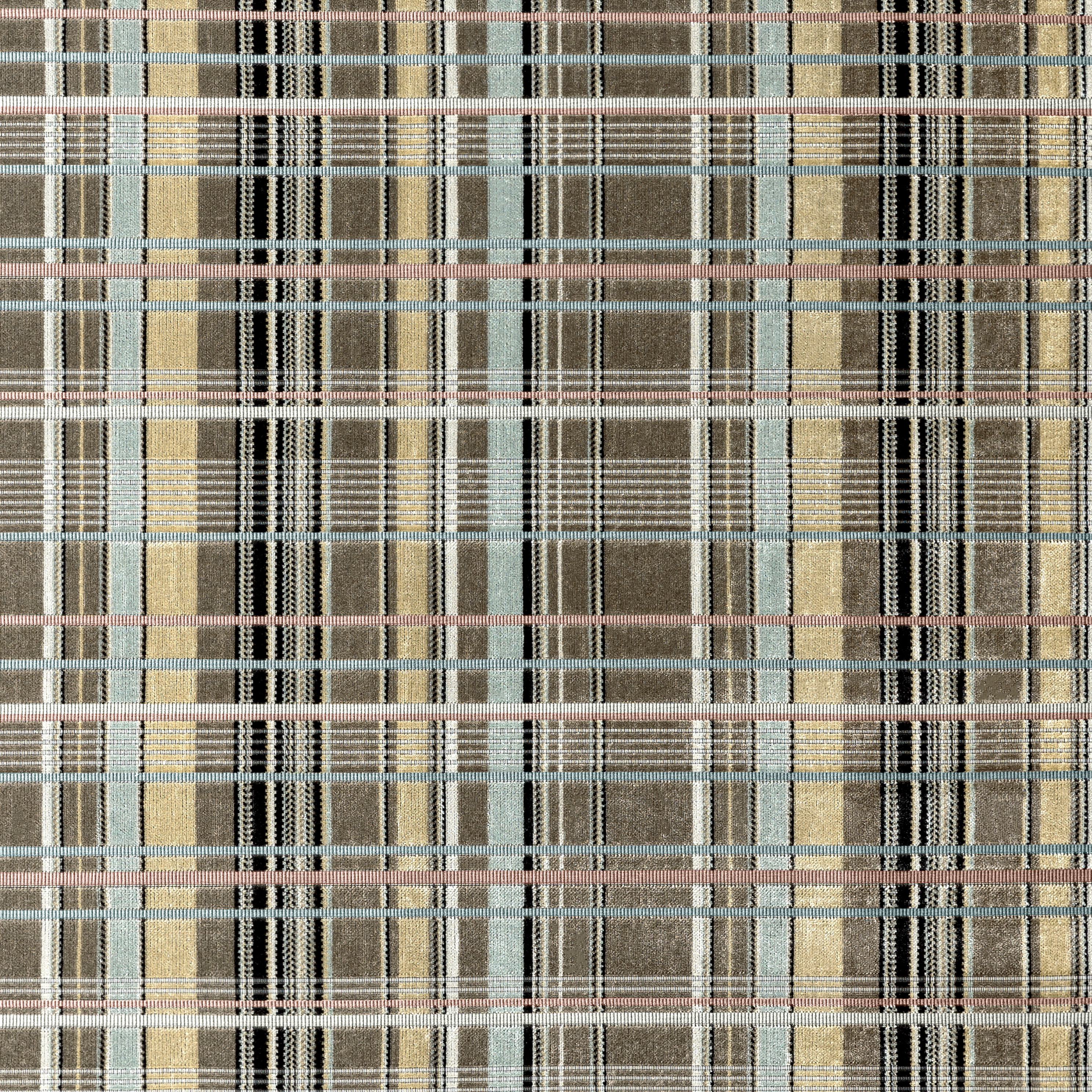 5013-01 Longji - Blue-Eyed Bengal Full Repeat