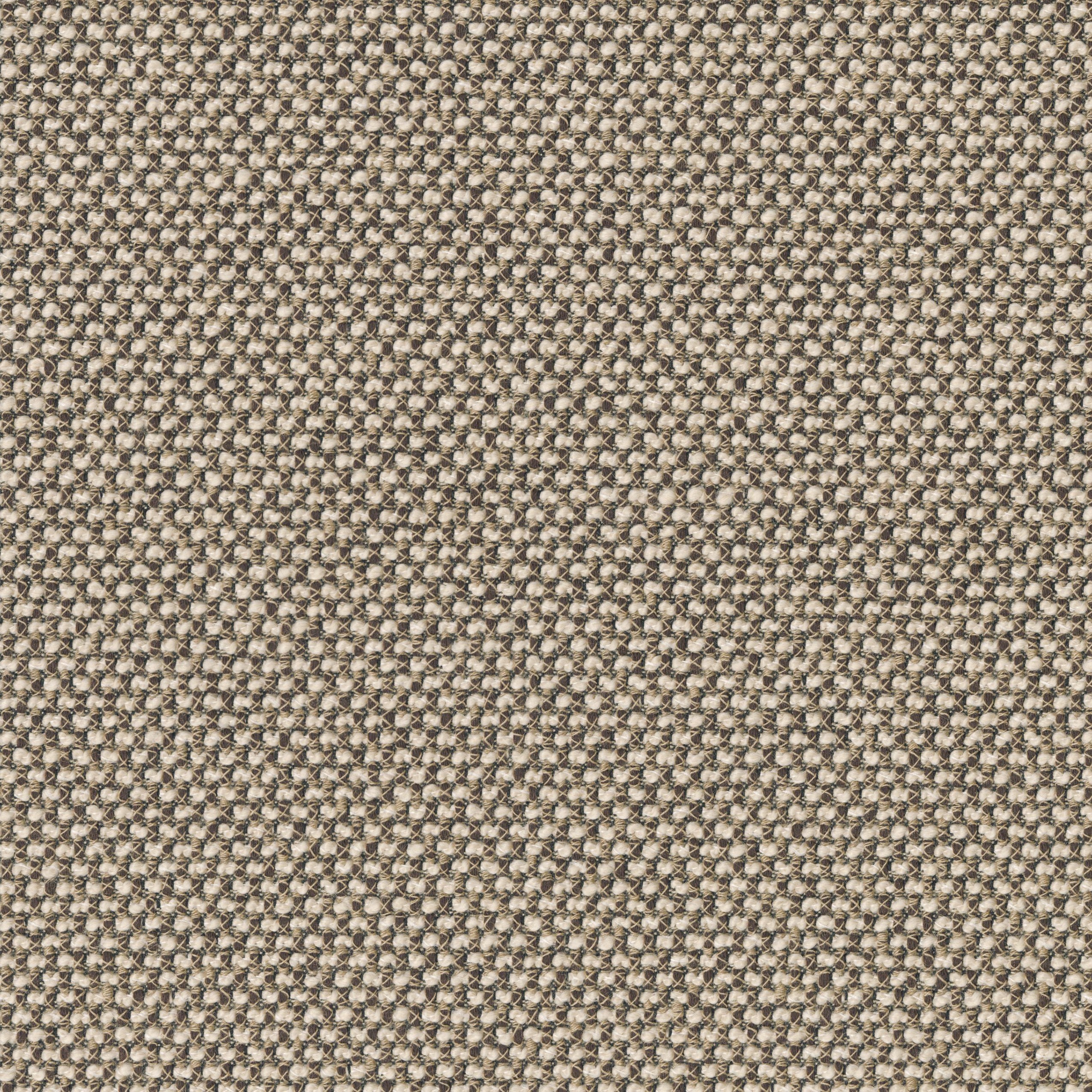 8935-02 Manuscript - Eastern Cougar Swatch