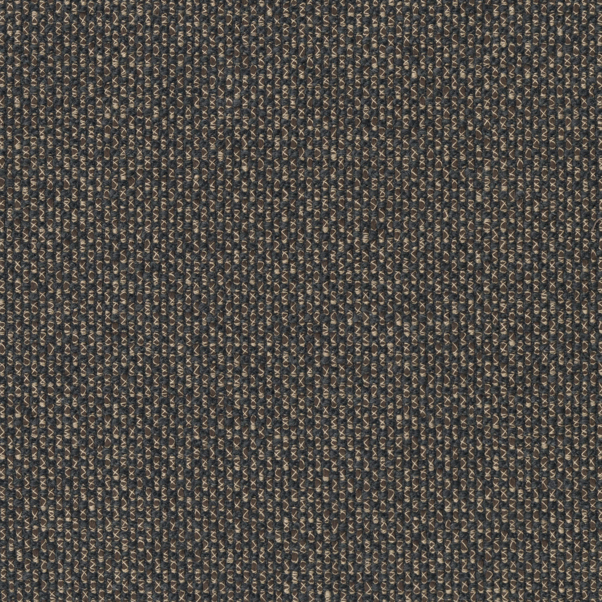 8935-05 Manuscript - Tortie Cat Swatch
