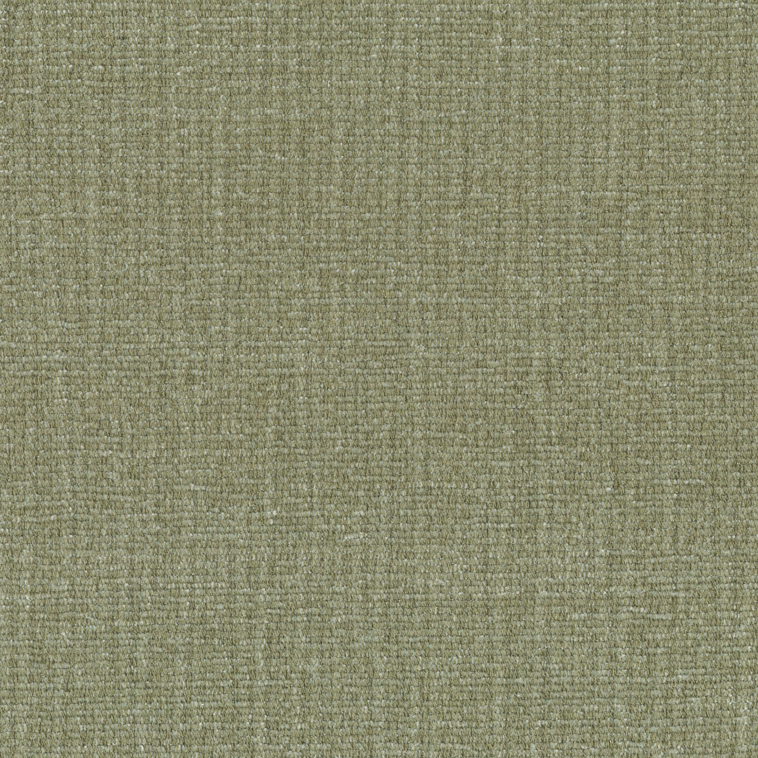 3164-07 Phoenix - Dried Sage Swatch