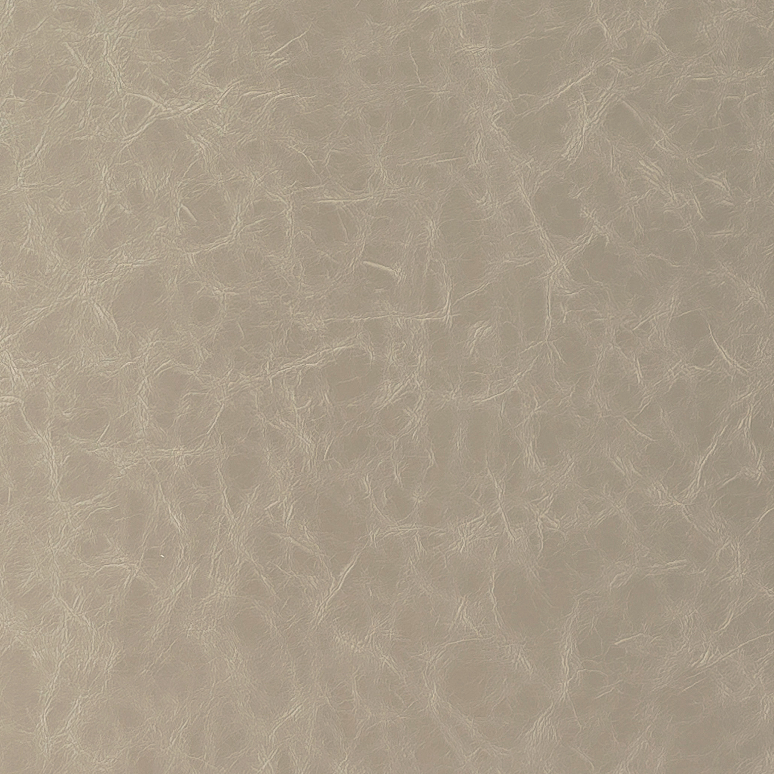 6818-01 Aries - Platinum Swatch