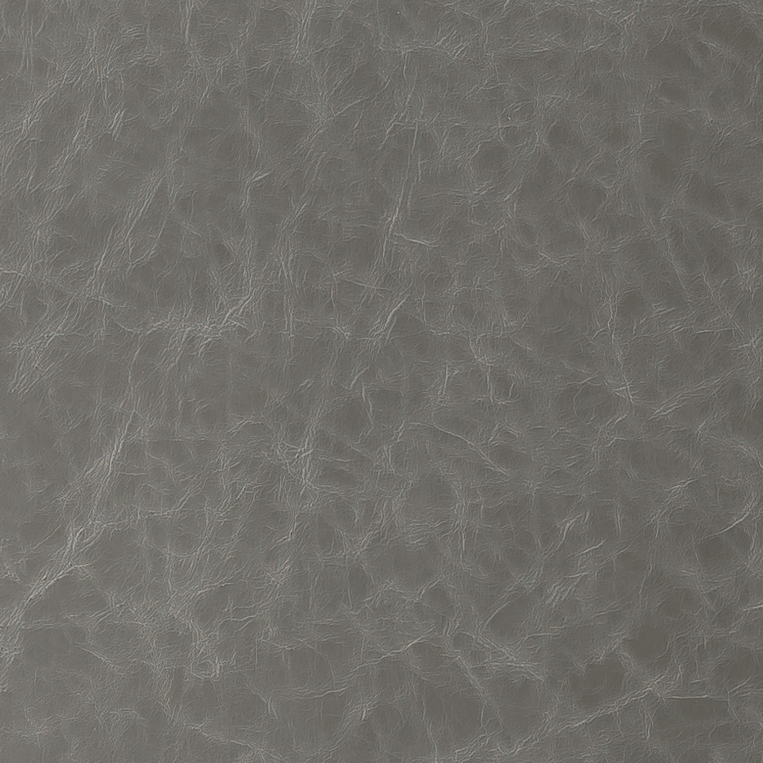 6818-03 Aries - Elephant Swatch 