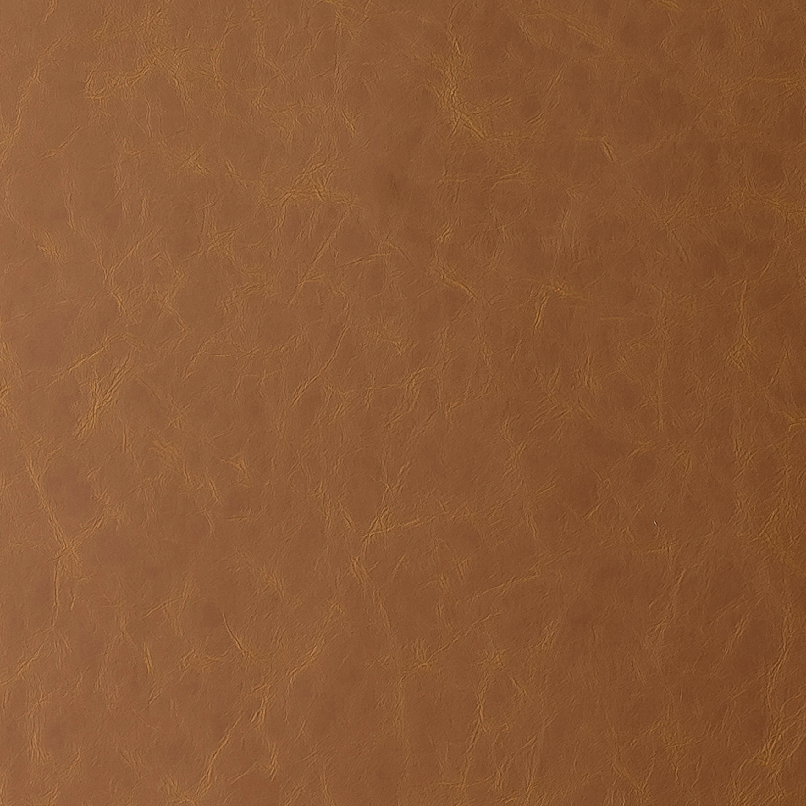 6818-05 Aries - Burnt Sienna Swatch 