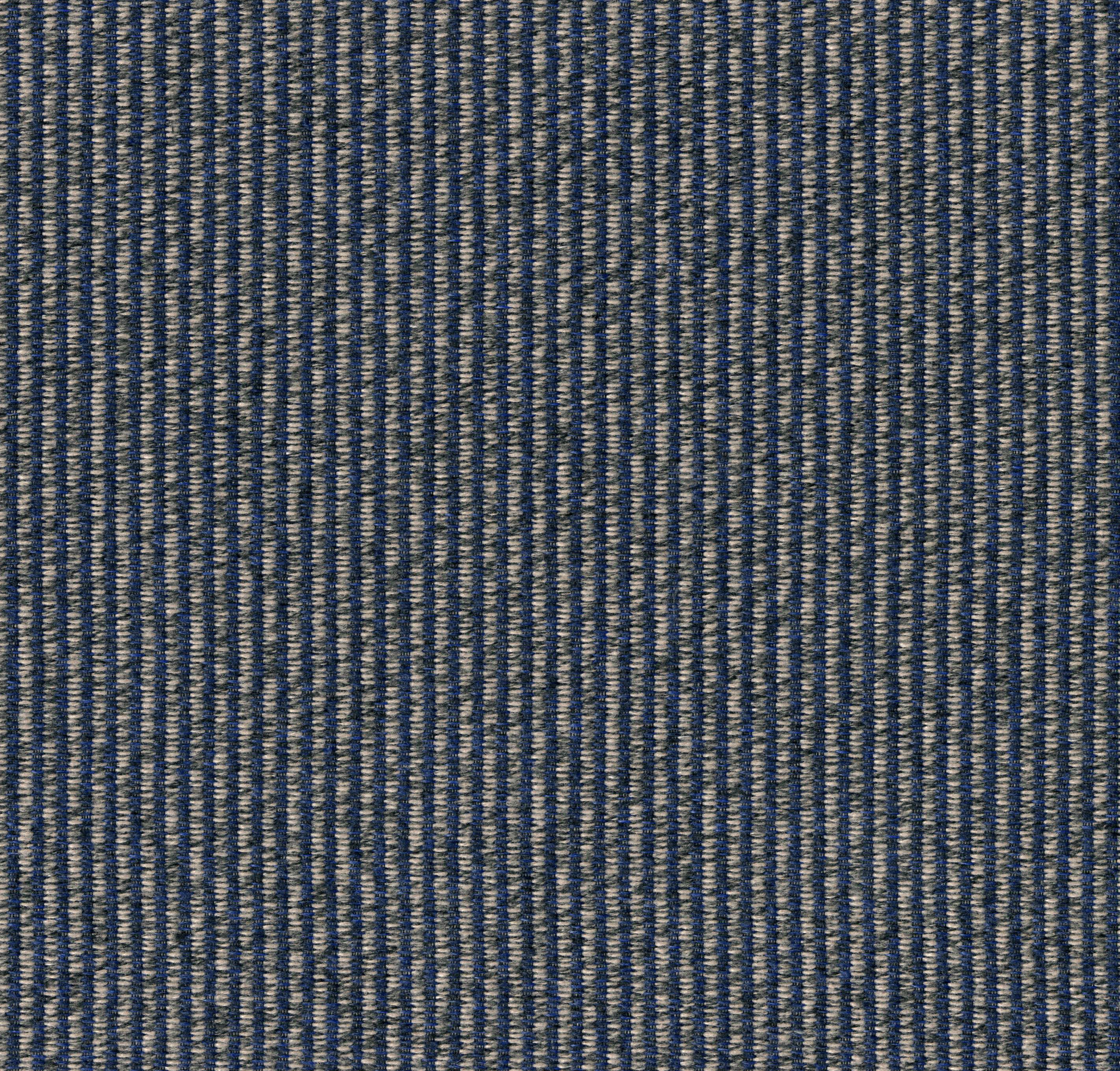 3201-08 Polyphony - Canada Jay Swatch