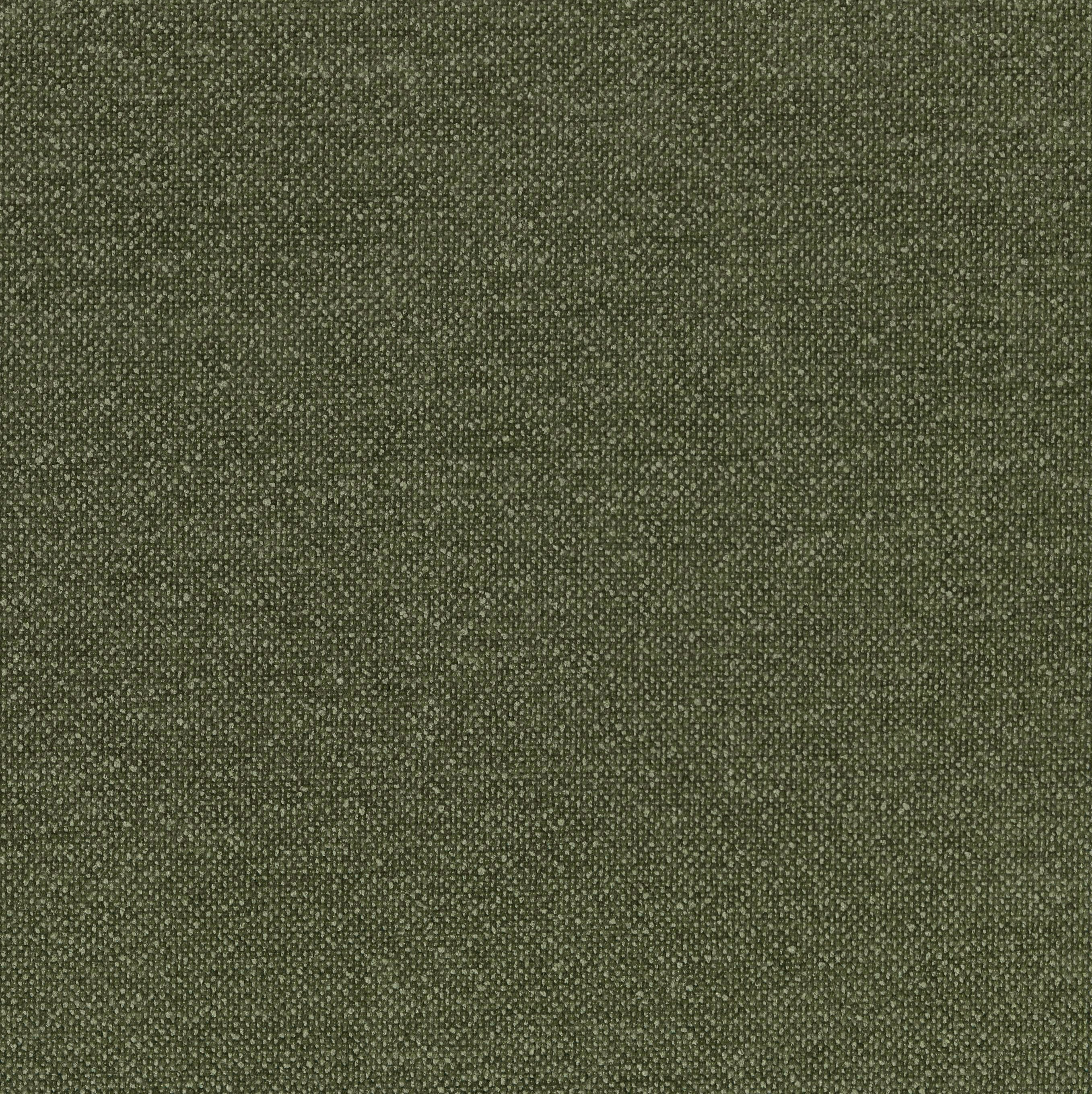 8712-05 Riley - Fraser Fir Swatch