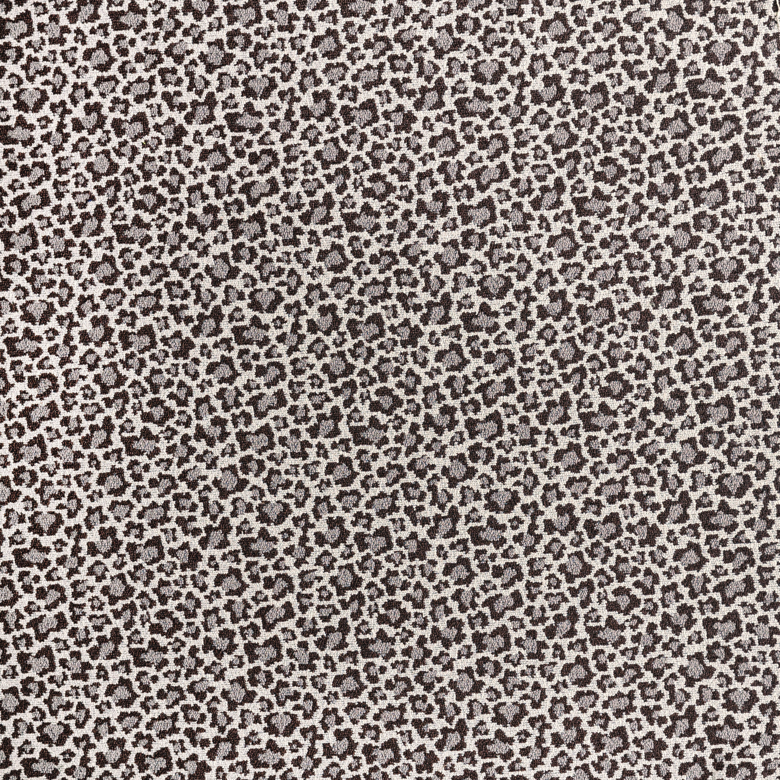 2327-02 Rosette - Spotted Xolo Full Repeat