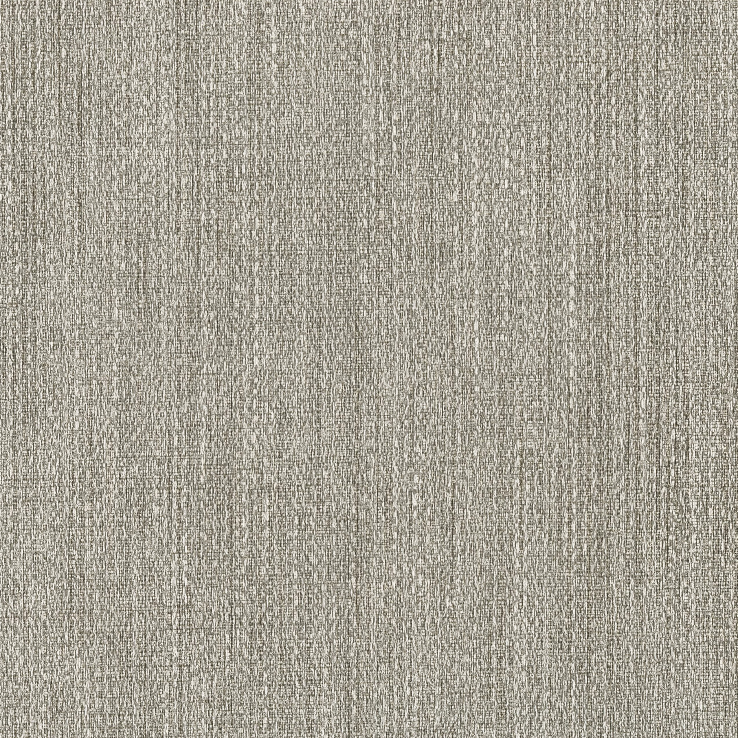V101-05 Fervor - Grey Owl Swatch