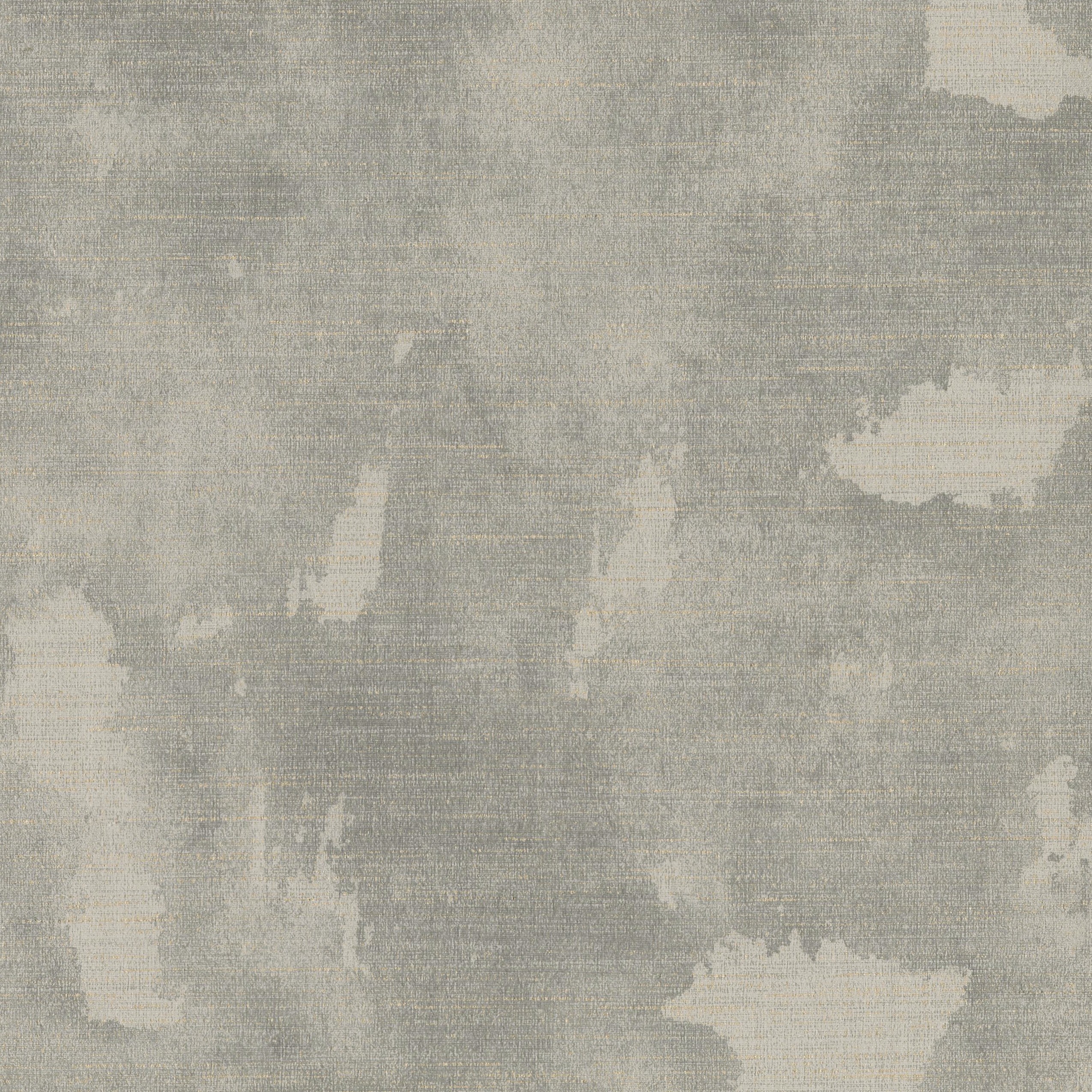 V103-06 Hikaru - Chartreux Cat Swatch